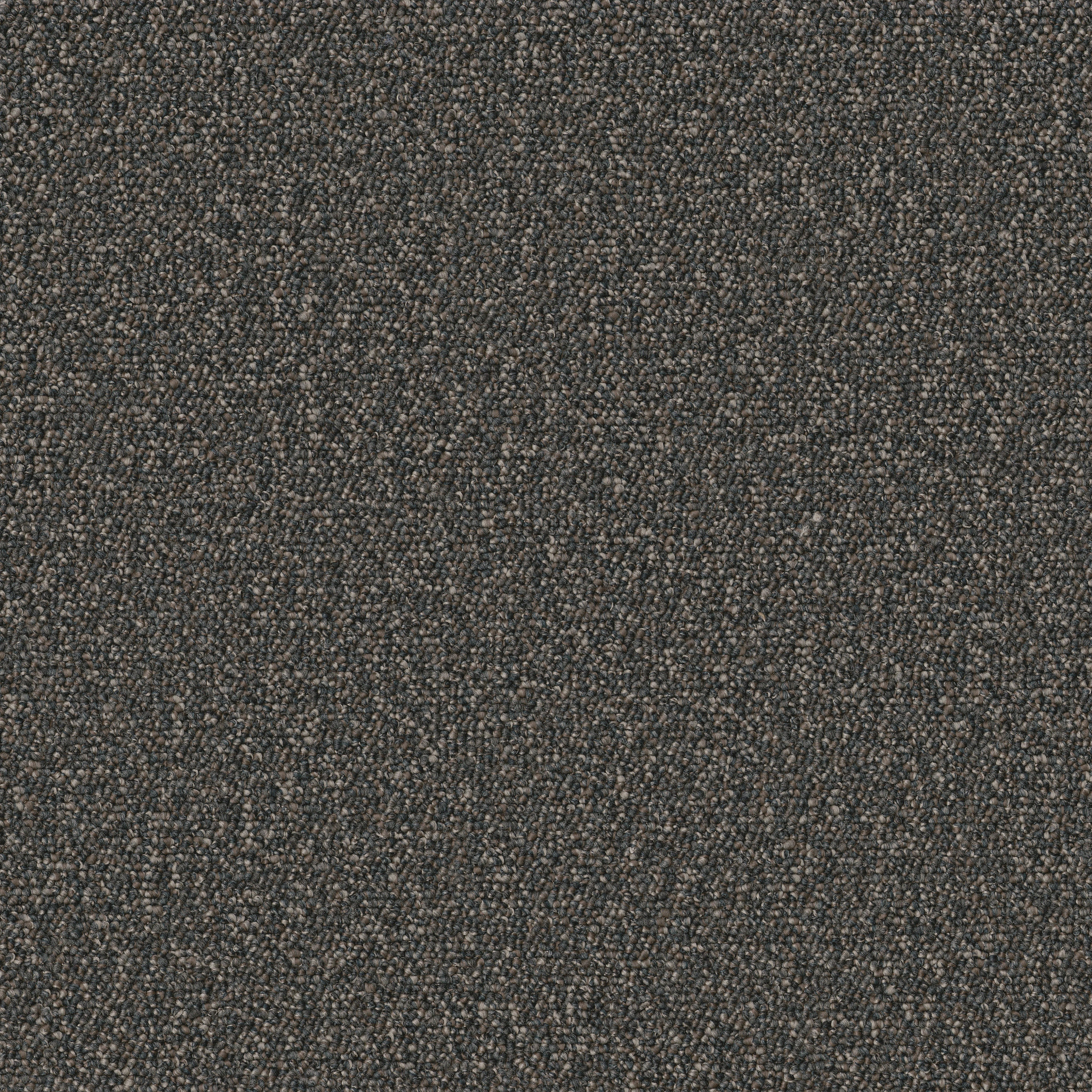 AVENUE-54989-ADAMS-00520-main-image