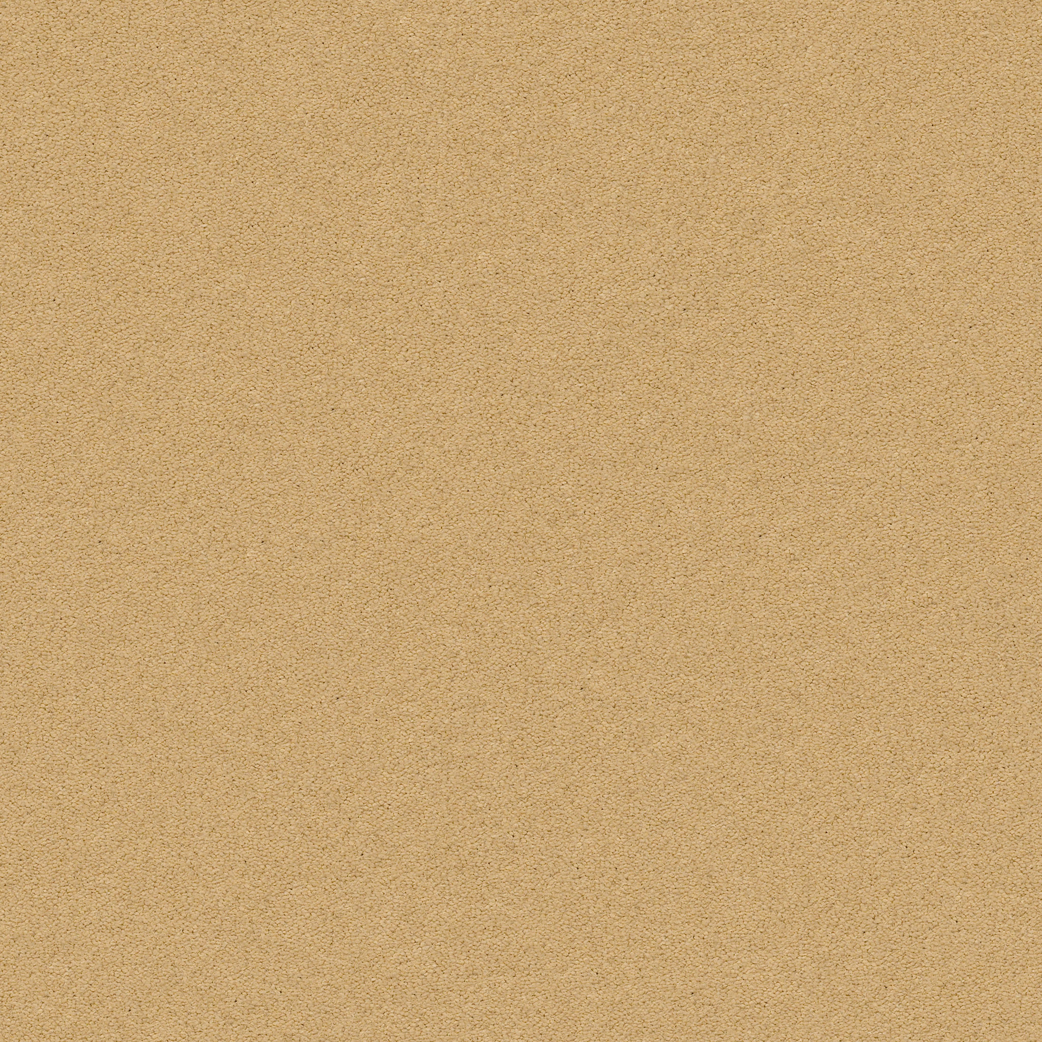 PERFECT CHOICE TAWNY BISQUE MAIN