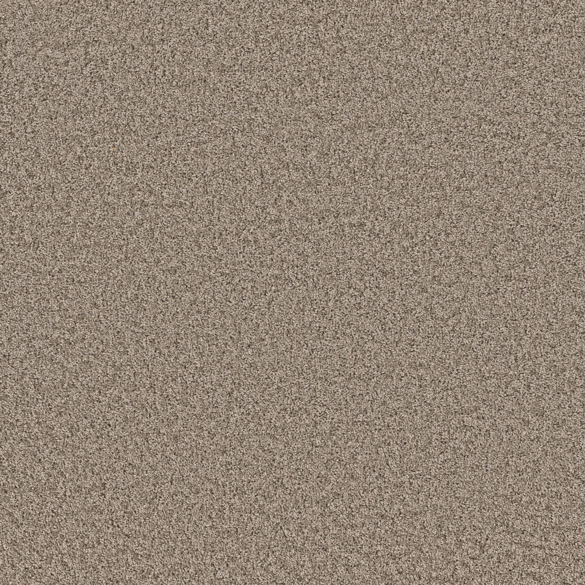 SHAKE IT UP (S) FOREVER PEWTER MAIN