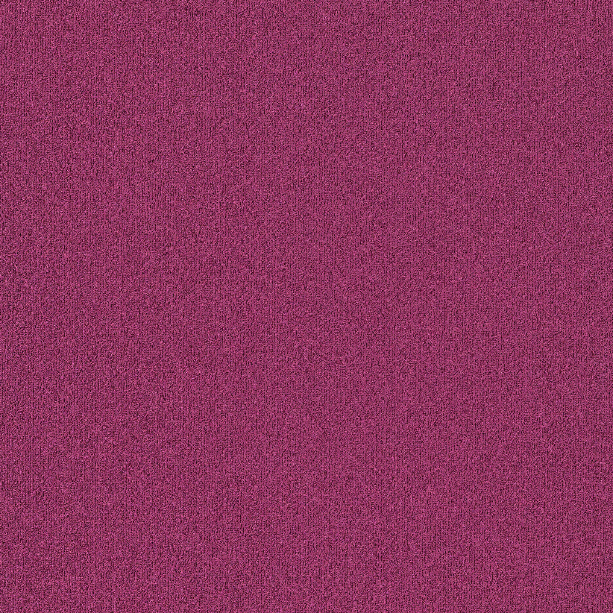 COLOR-ACCENTS-54462-CALYPSO-62890-main-image