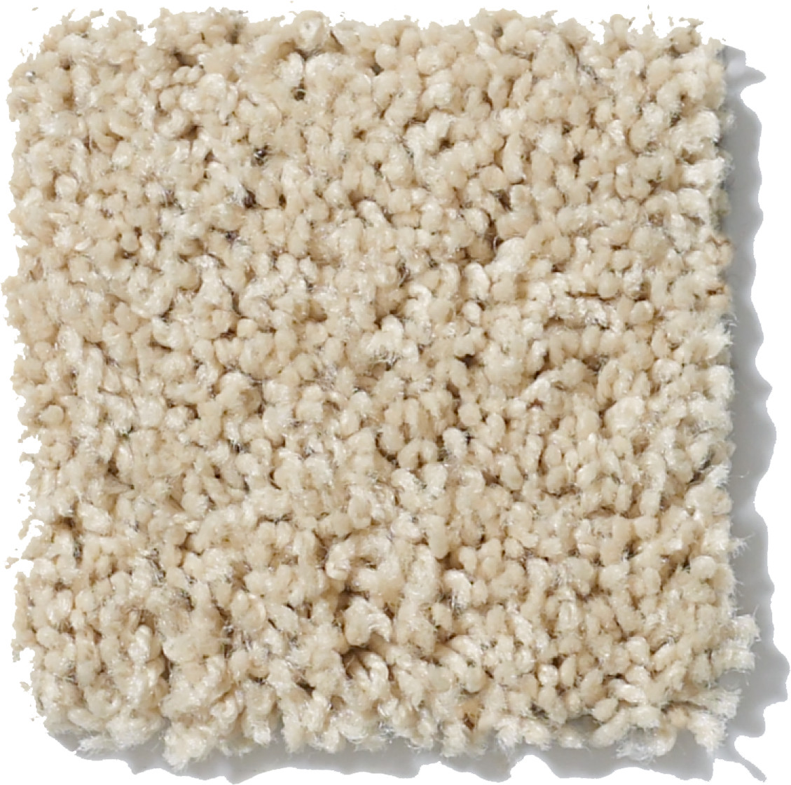 WONDEROUS LIFE (S) CASHMERE SWATCH