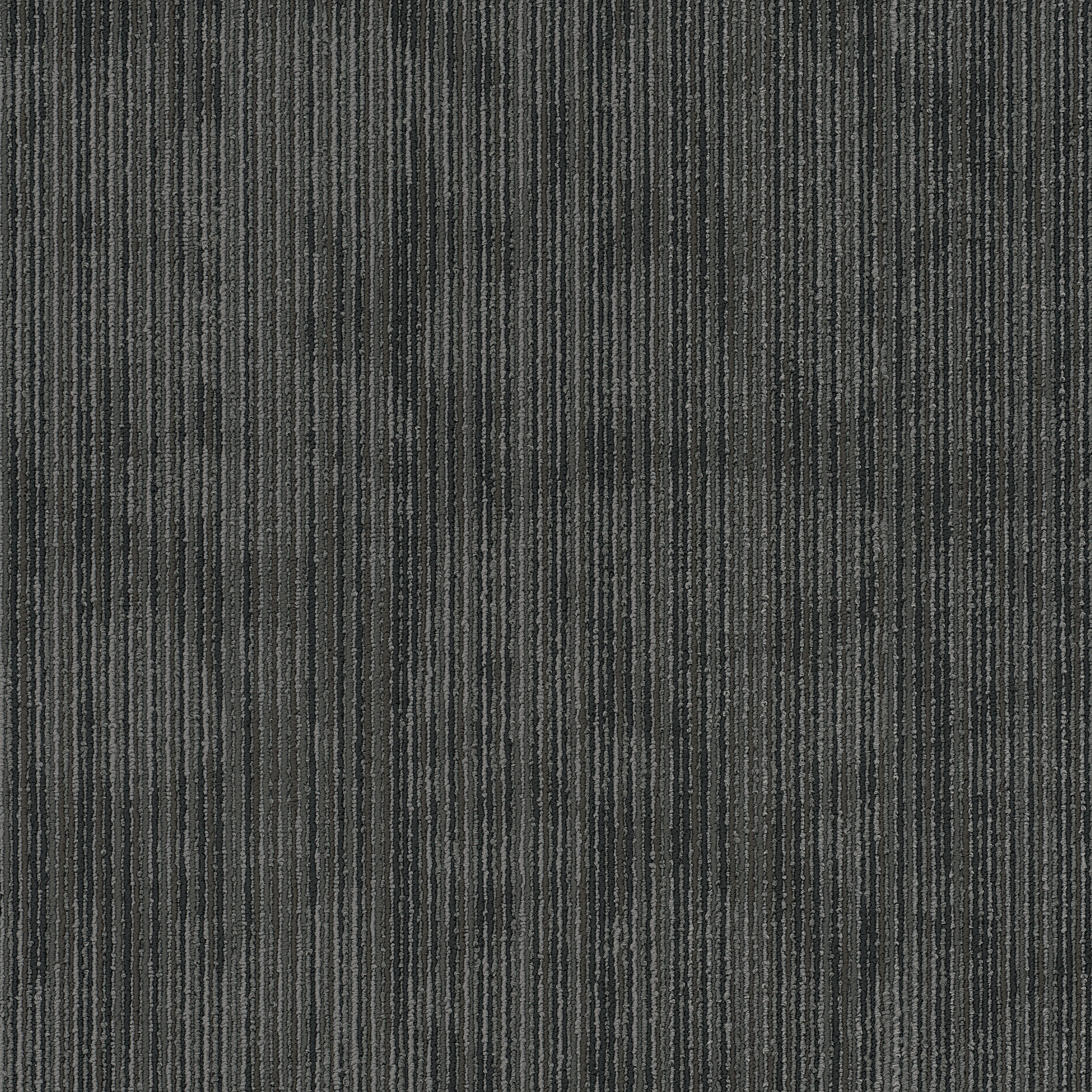 HIPSTER-54895-KOBRA-00504-main-image