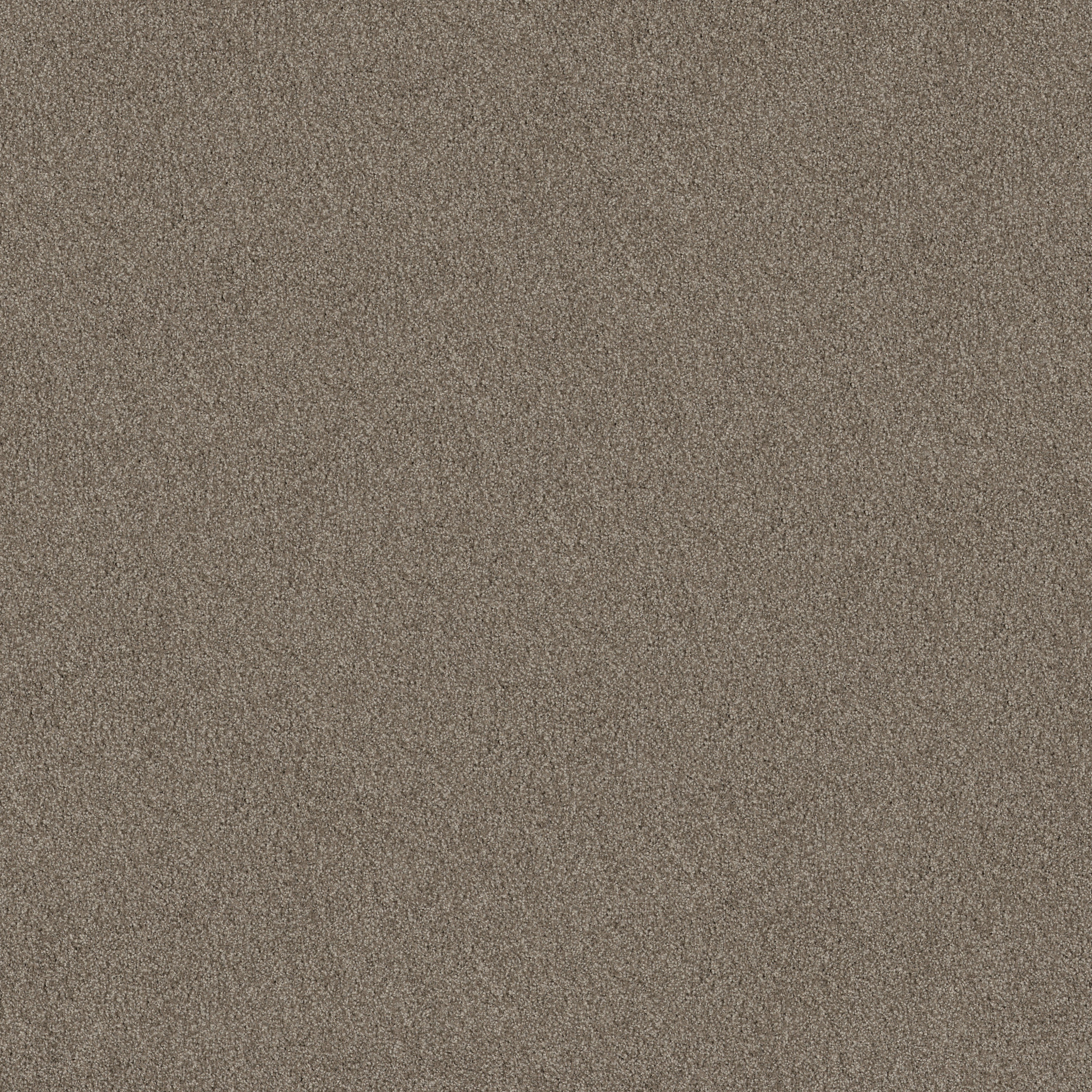 SWEET INSPIRATION II MOCCASIN MAIN