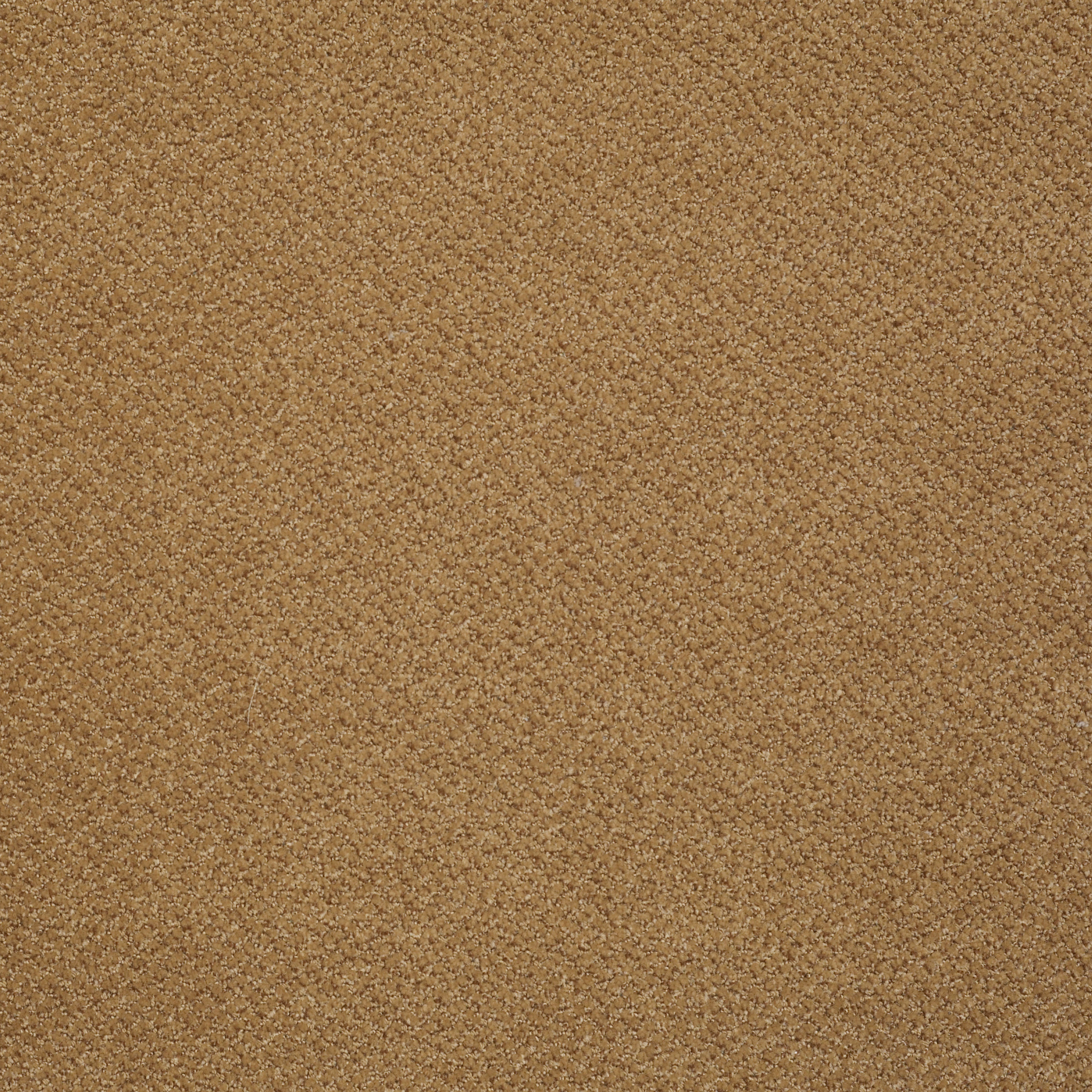 PRESTIGE-J0174-CELEBRITY-74220-main-image