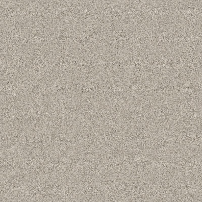 Harmonious I 5E438 Broadloom Carpet in Heirloom color, 100% Nylon, 12ft wide, texture finish