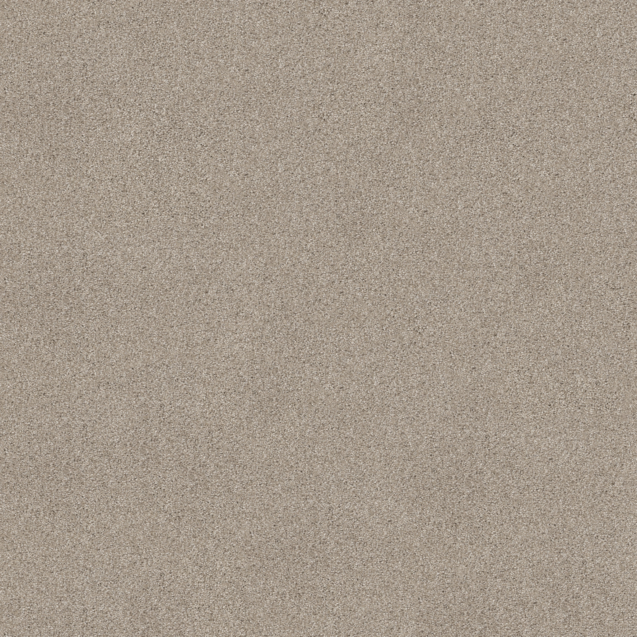 SWEET INSPIRATION I CATNIP MAIN