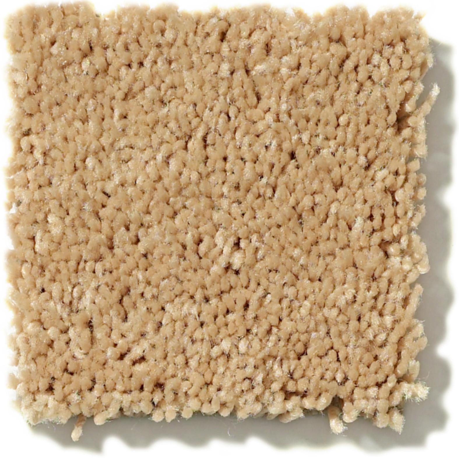 ALL STAR WEEKEND III 12' SUN BEAM SWATCH