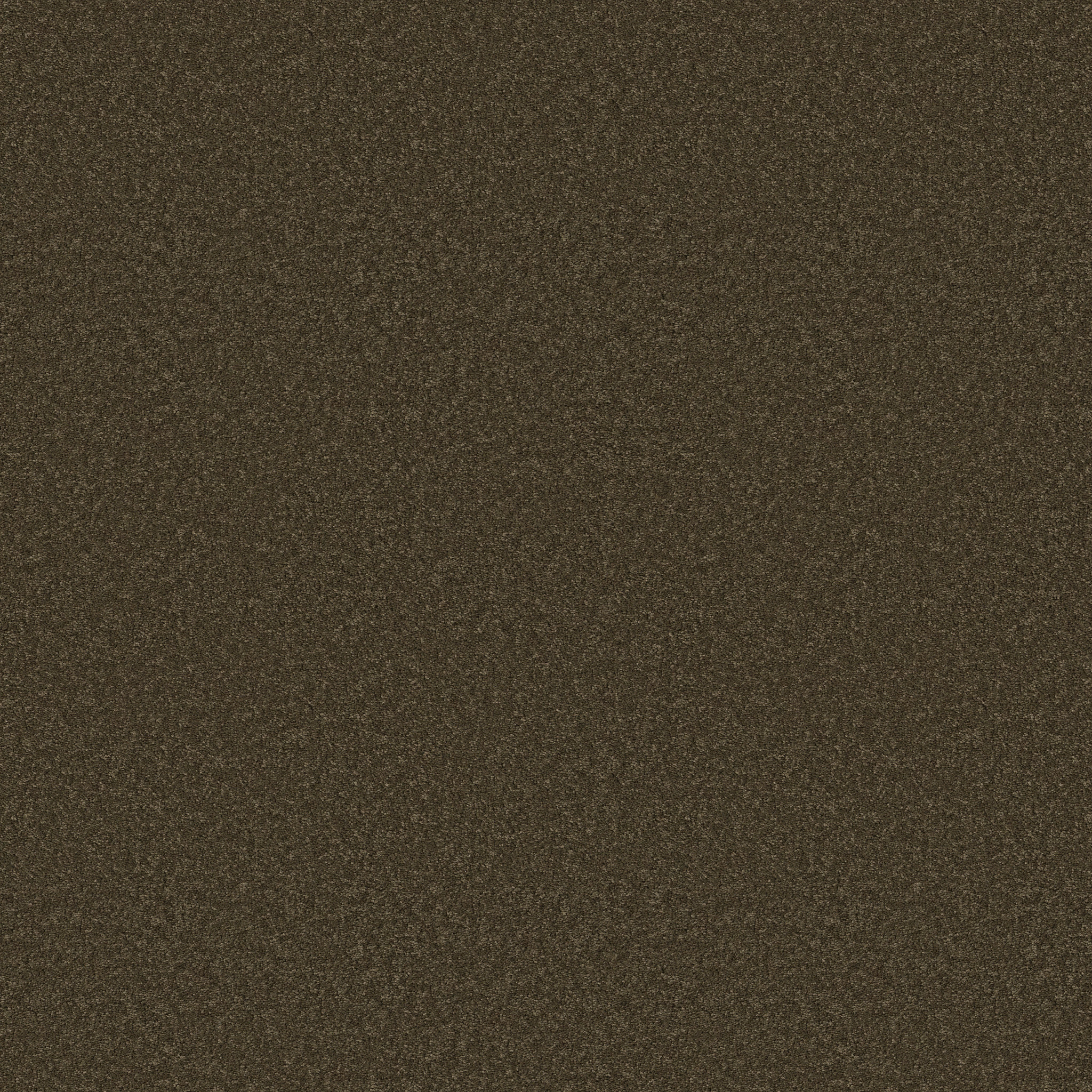 ENDURING CHARM DARK OLIVE MAIN