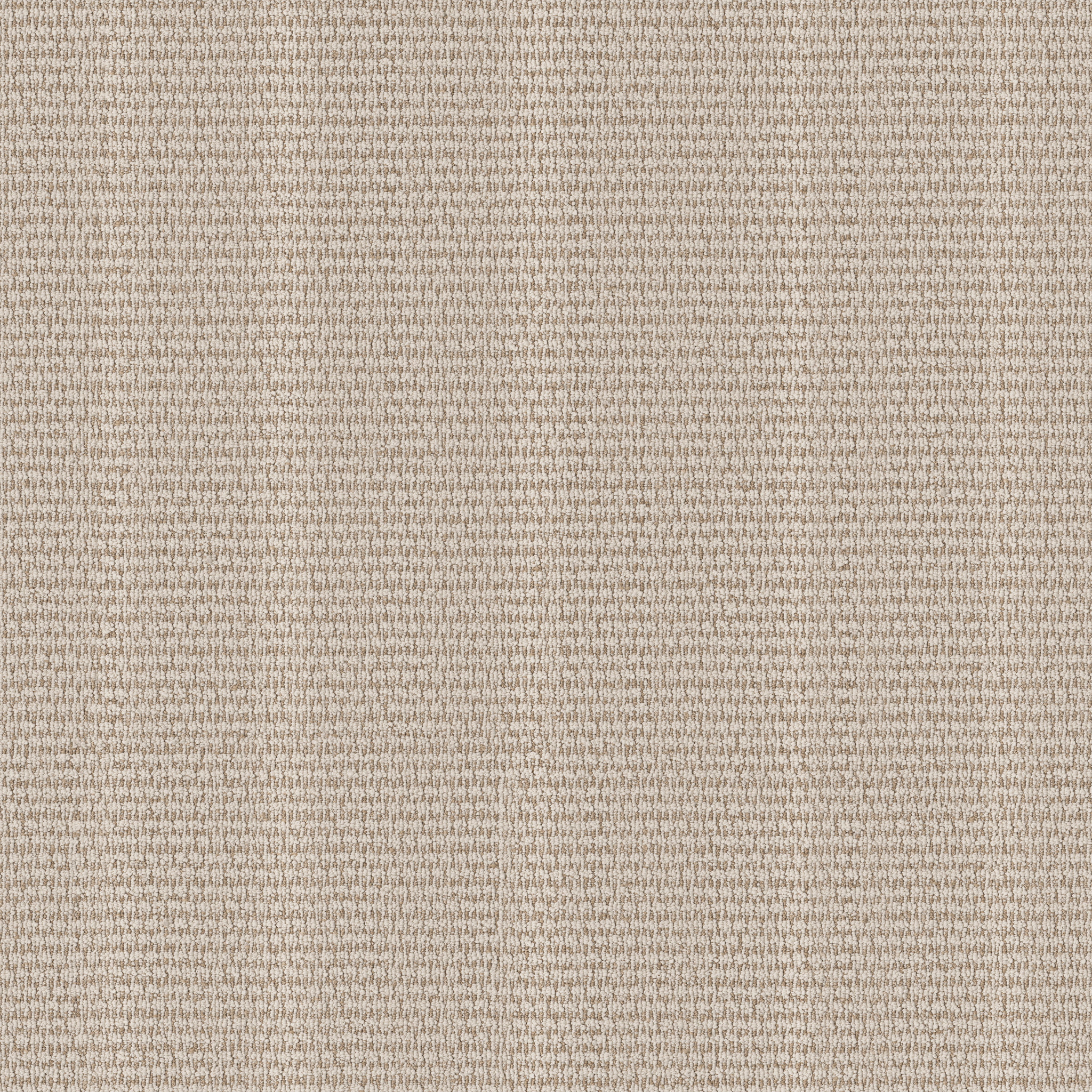 LAINE WIND SWEPT MAIN