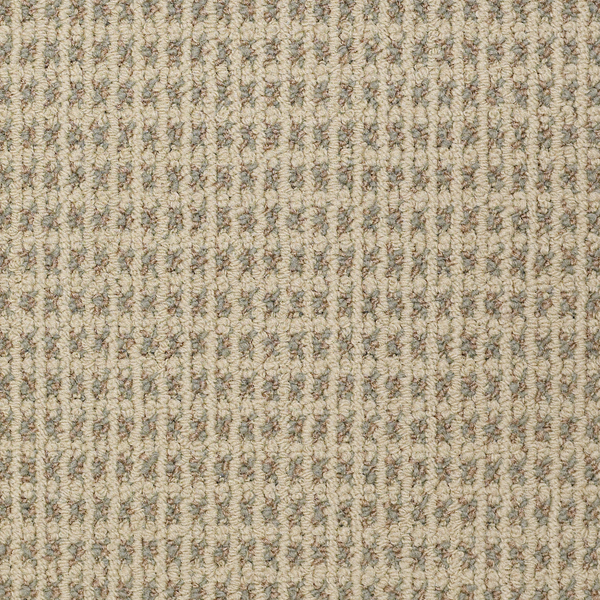 MODERN-TRADITIONS-54207-CURRY-07100-main-image