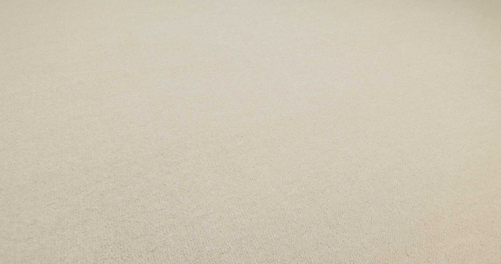 Scepter II Canvas Rotation360