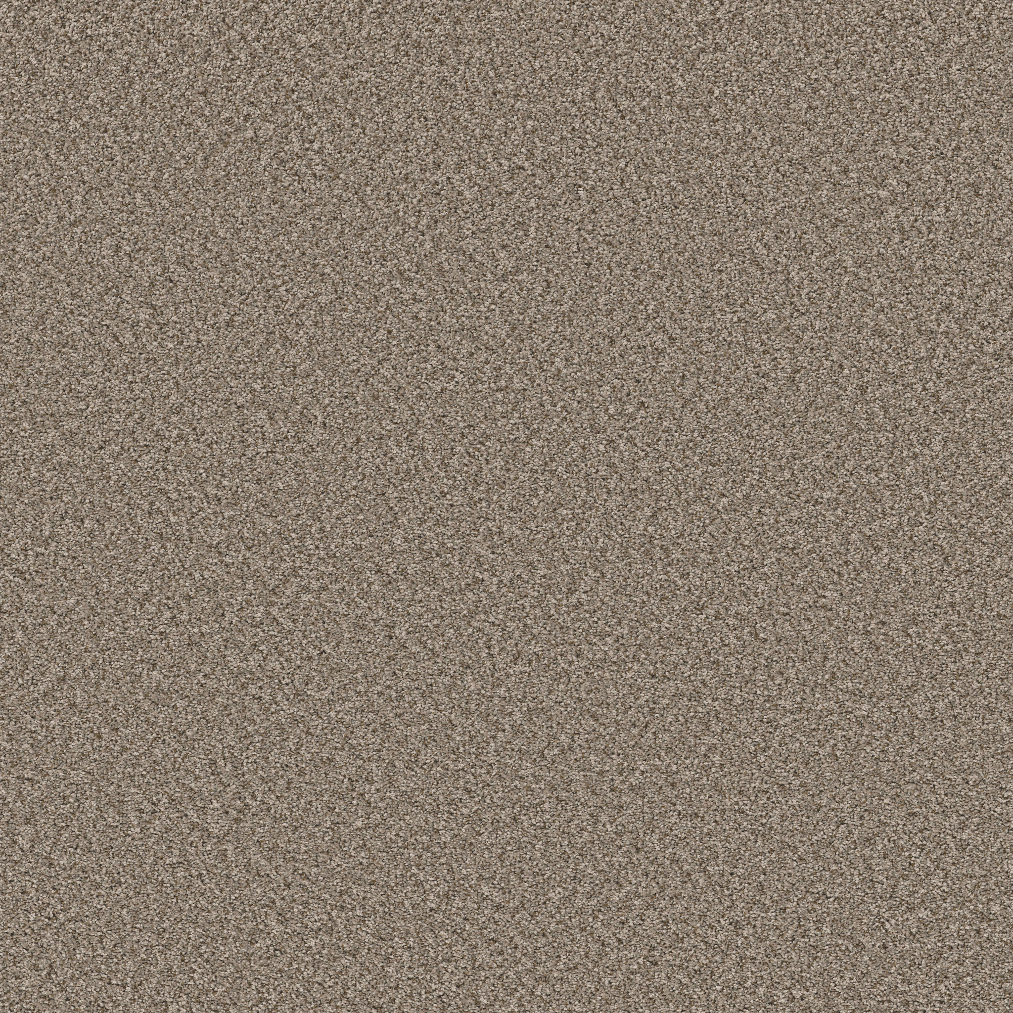 FEELIN' ALRIGHT NATURE TRAIL MAIN