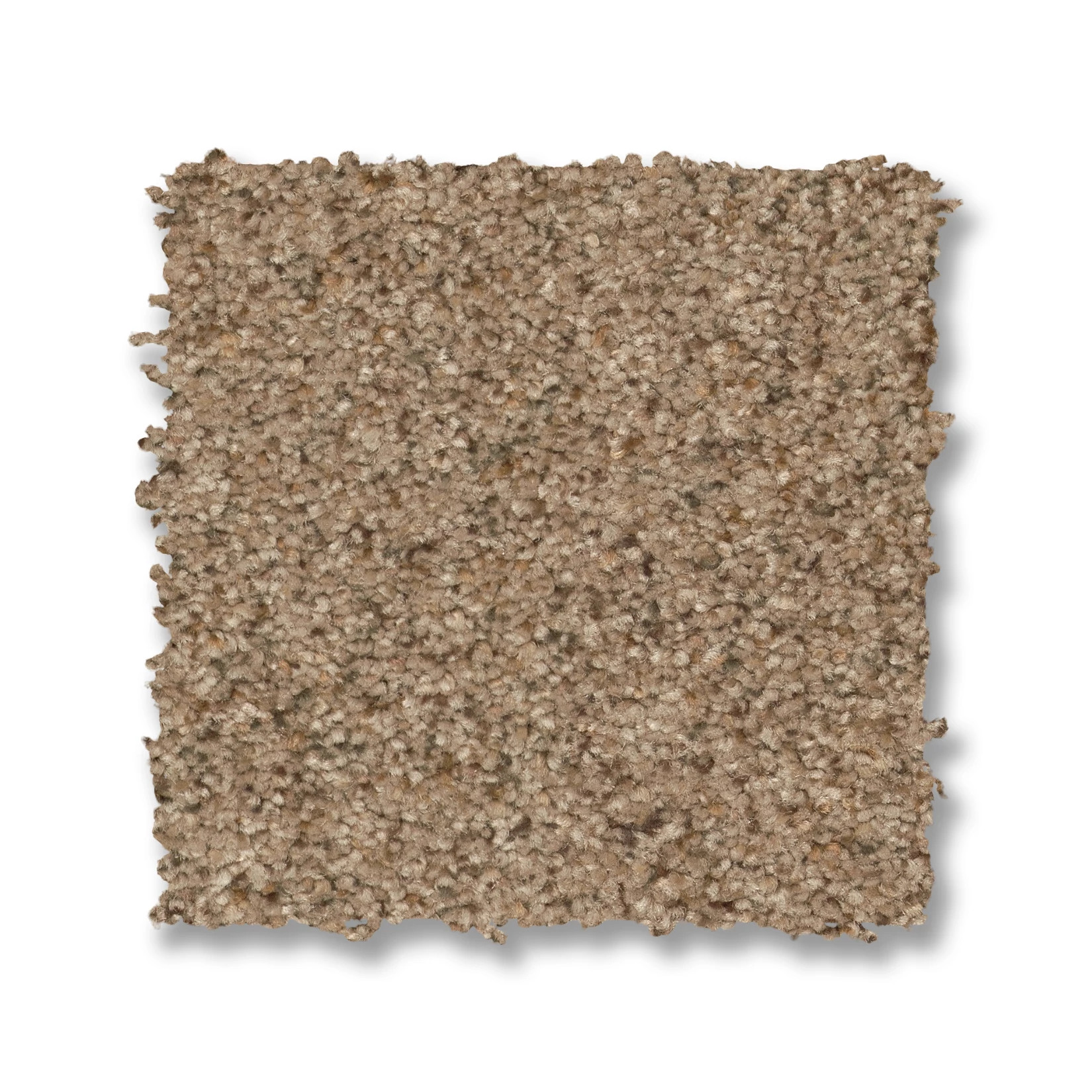 CANYON LAKE BASIC TAN SWATCH