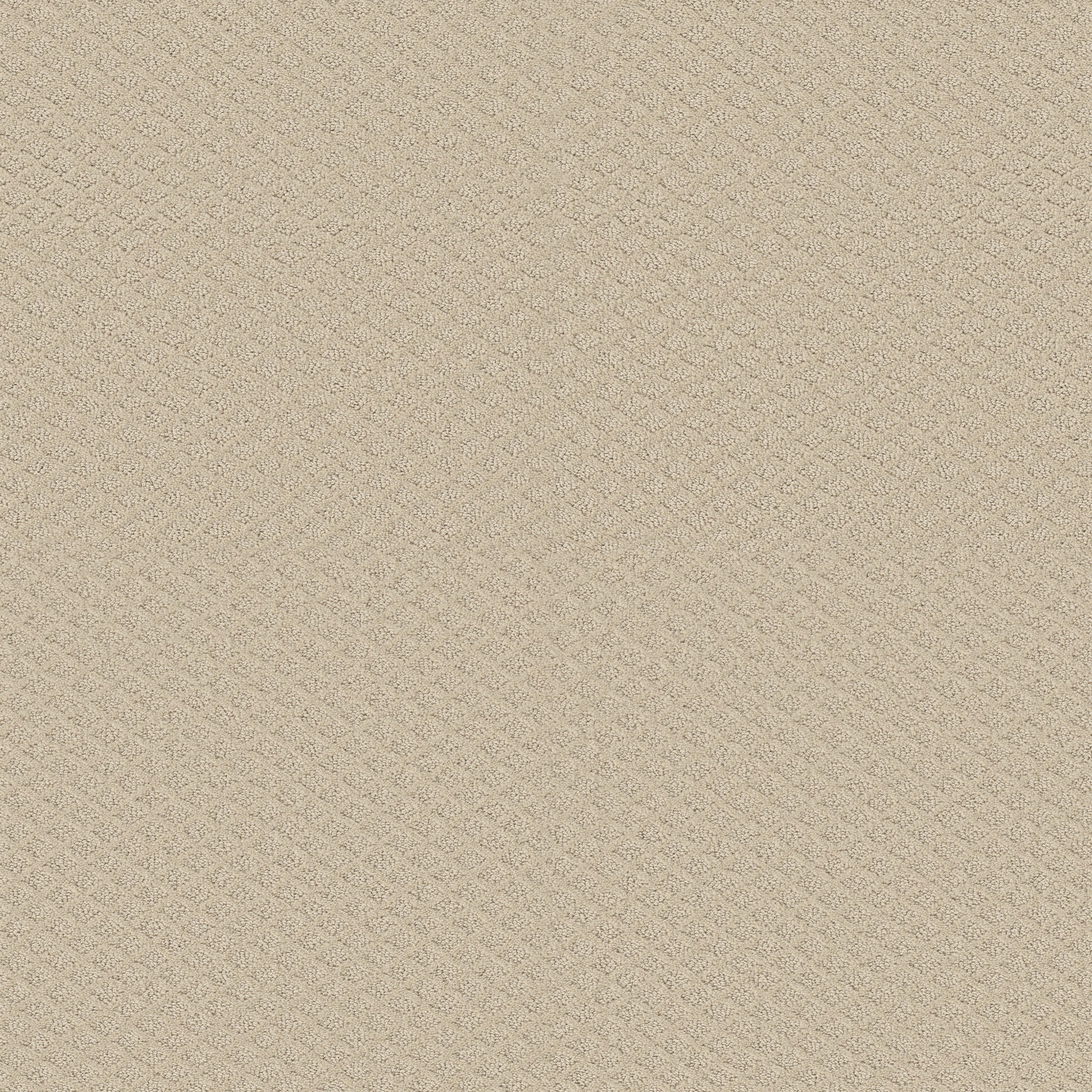 MIDLAND CHARM BETTER BEIGE MAIN