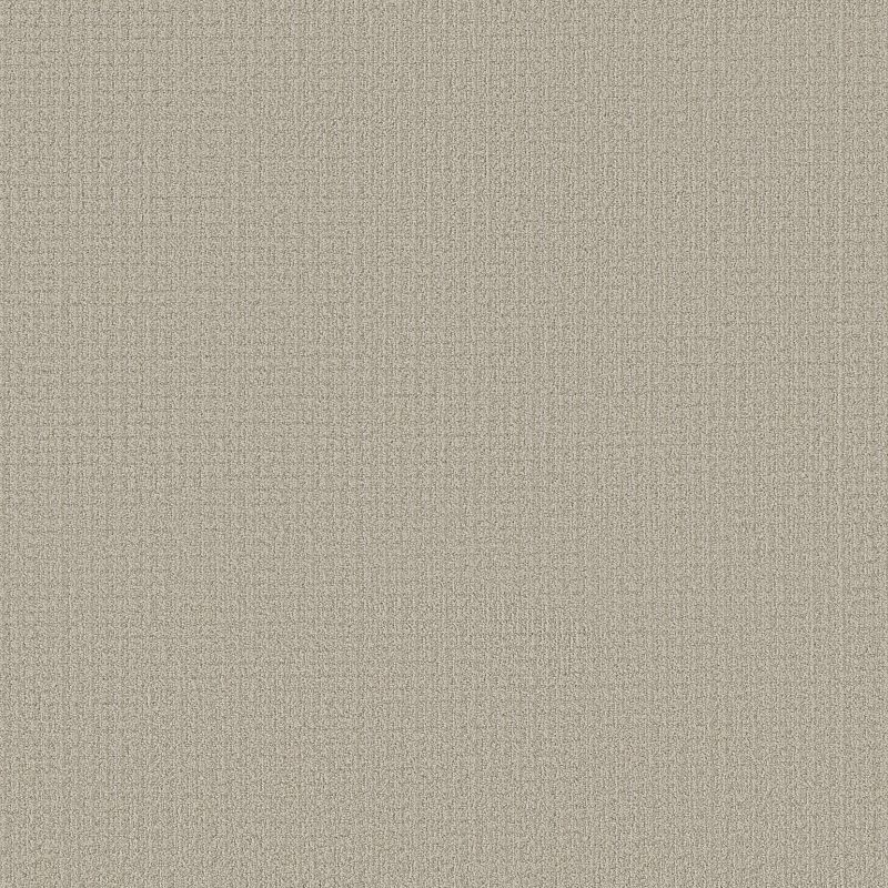Aerial Arts 5E040