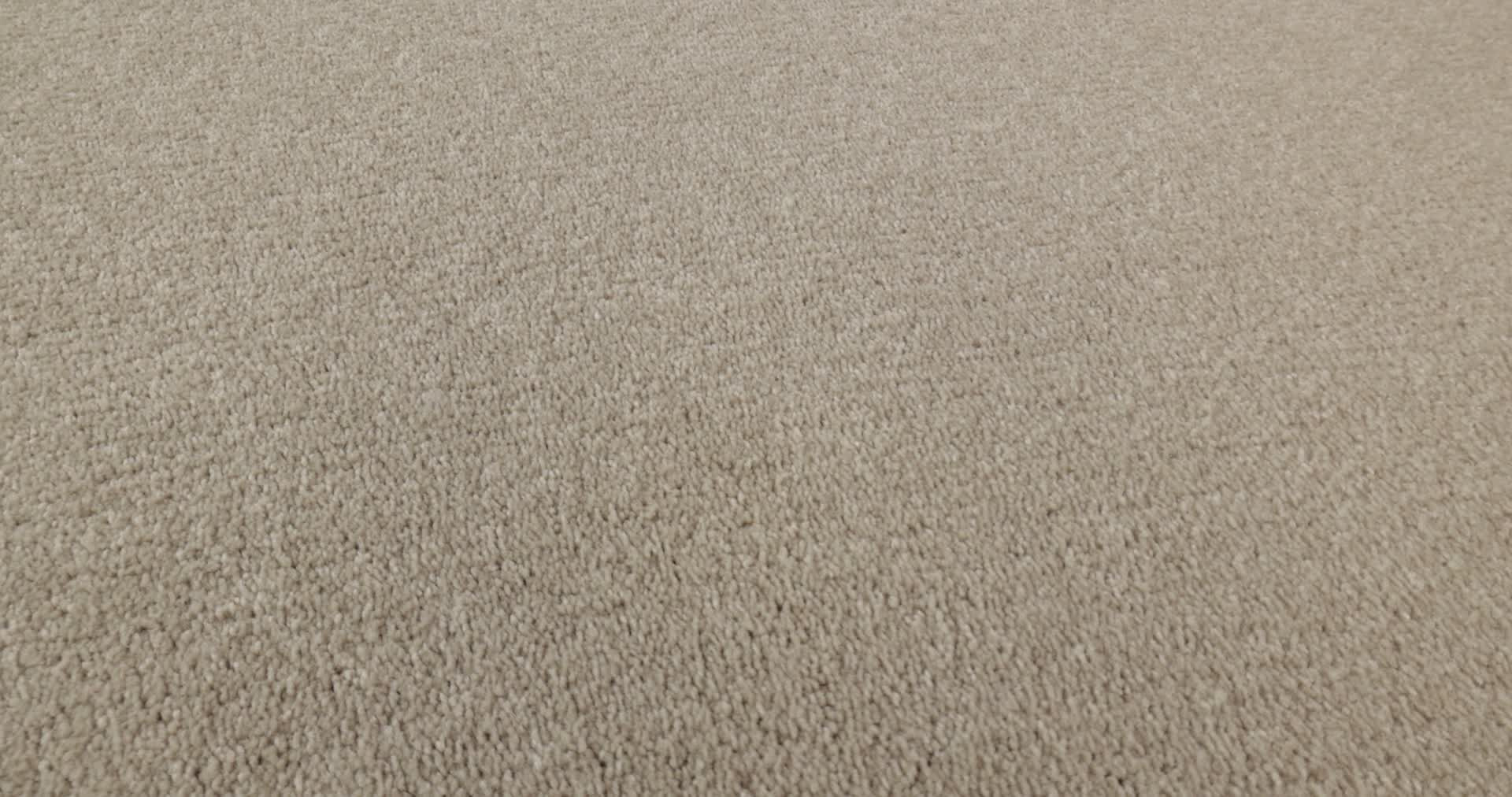 STEP RIGHT UP I 12' ECRU 360PROD