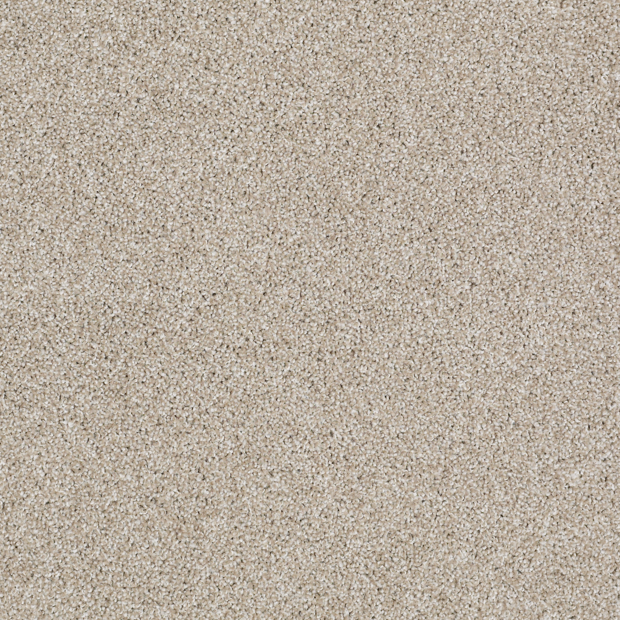 ALWAYS READY I BISCOTTI MAIN