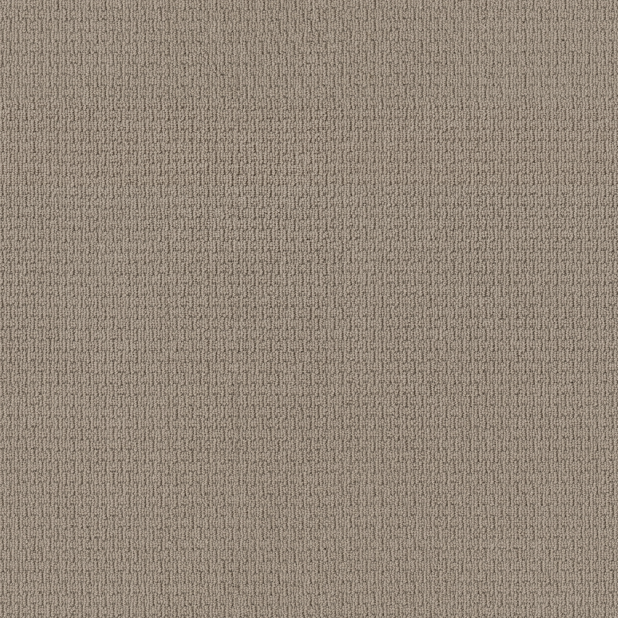 SAN SALVADOR OYSTER MAIN