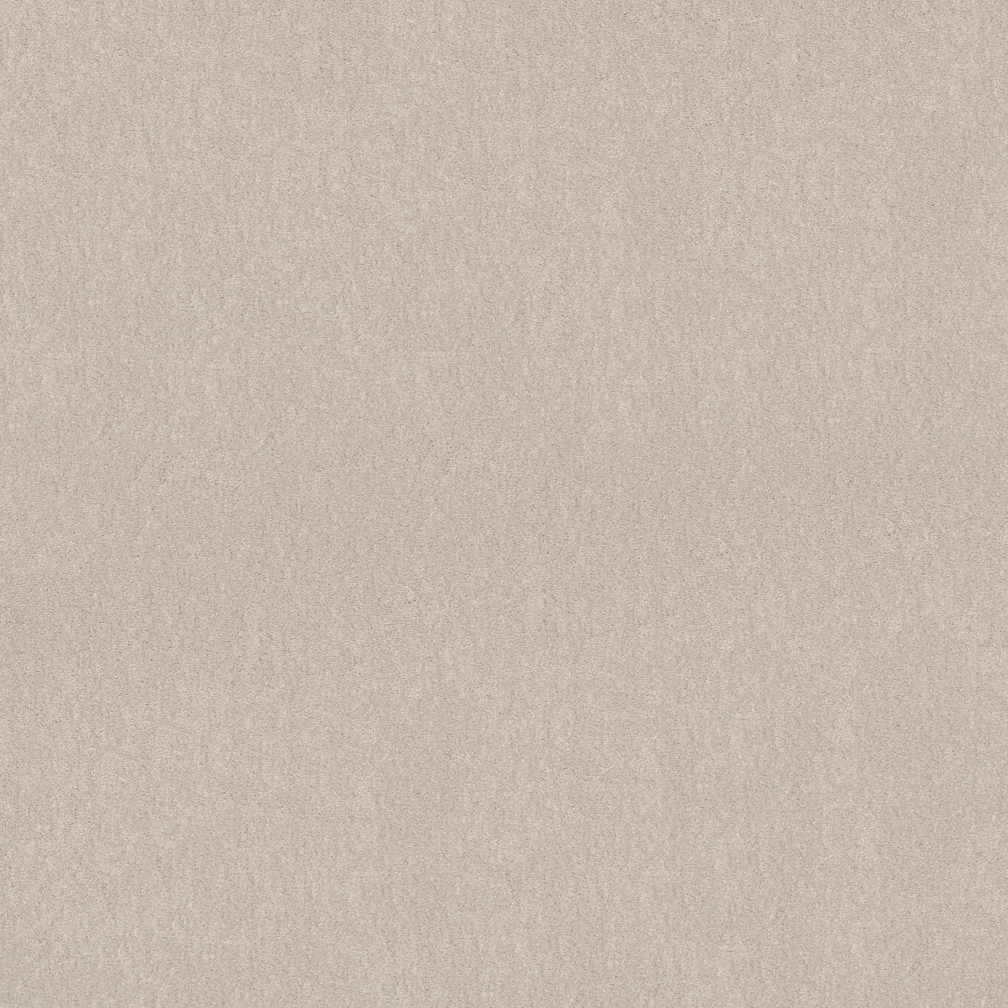 EASY SPIRIT I 12' MINIMALIST MAIN