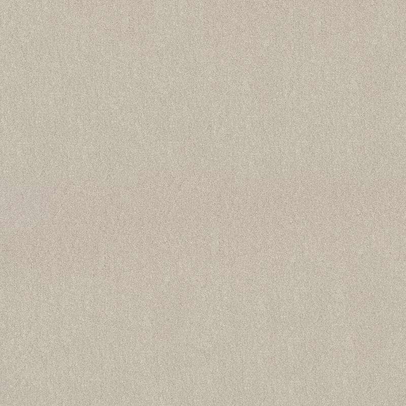 Easy Spirit I Broadloom Carpet in Dreamy color, 12ft wide, 100% polyester material