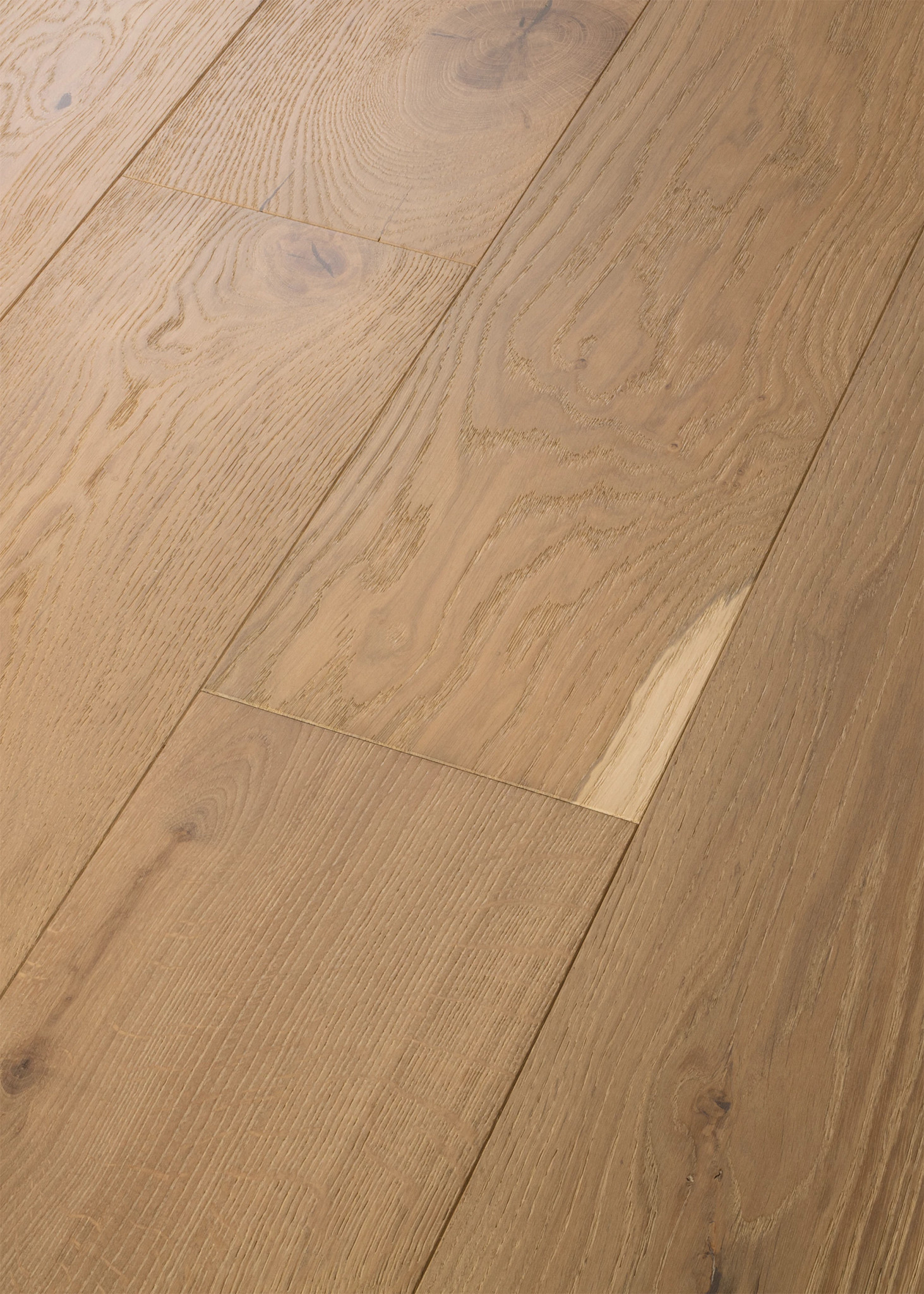 EXPRESSIONS ALLA PRIMA ANGLED