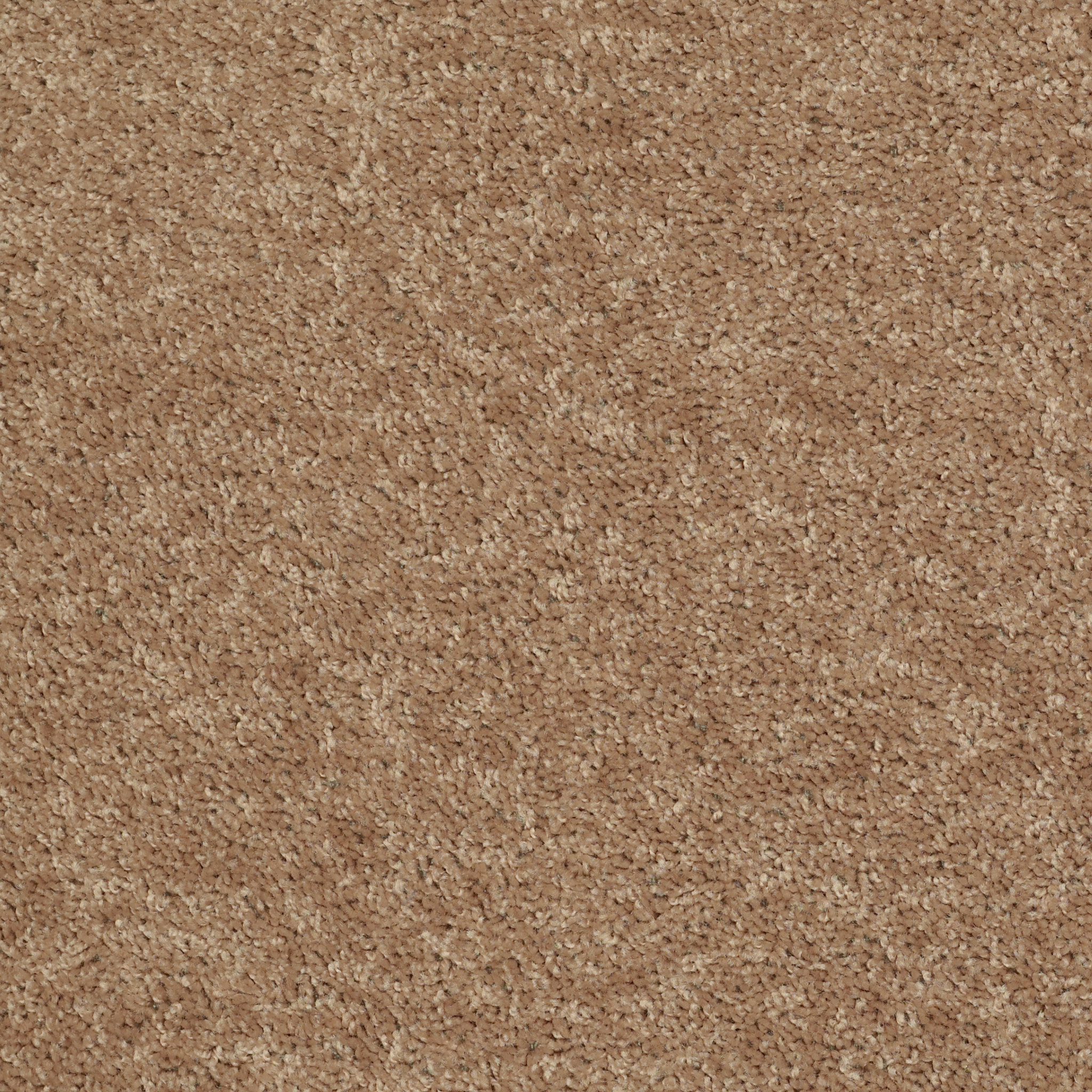 FIELDER'S CHOICE 12' CIDER MAIN