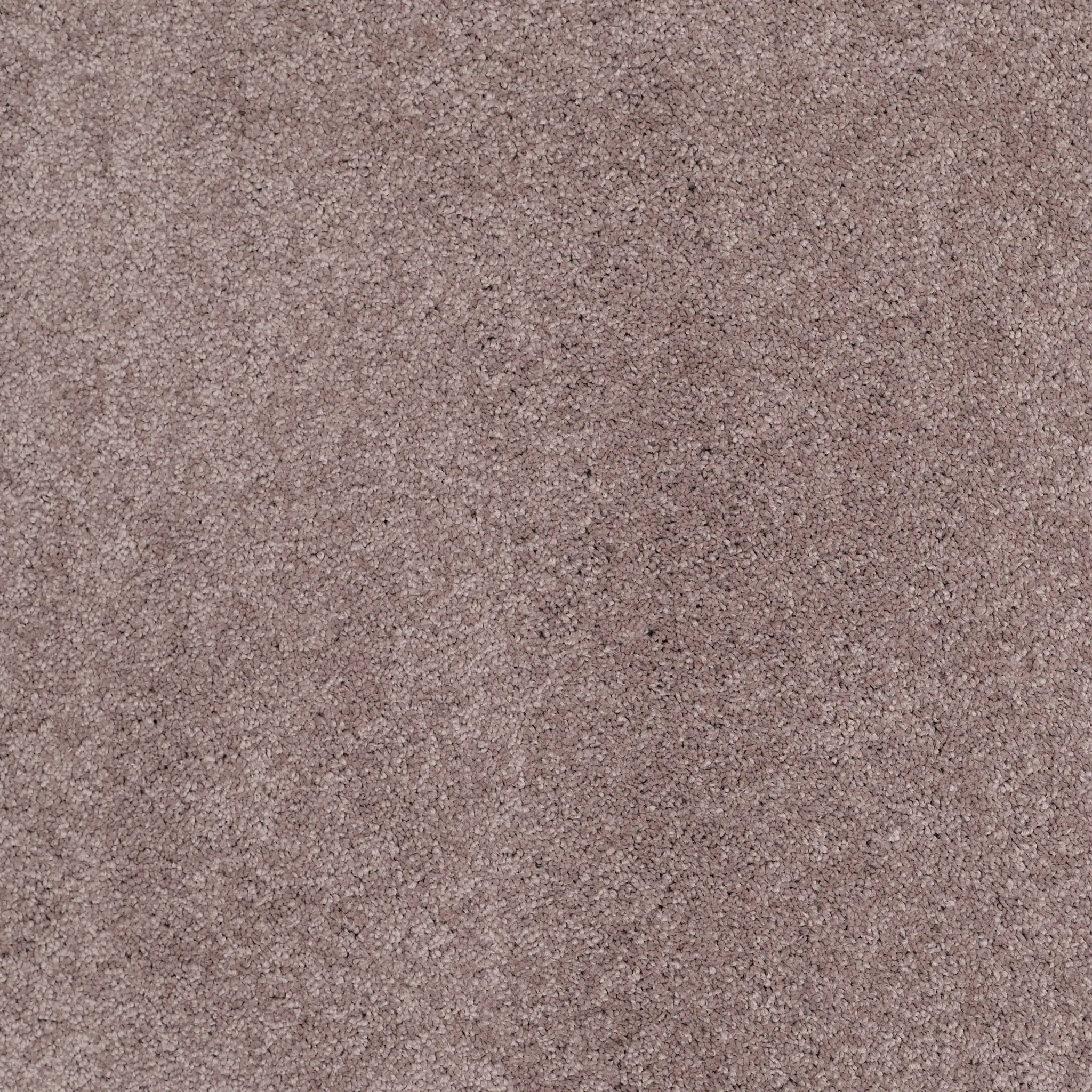 Soft textured carpet in a warm taupe color, ideal for adding comfort and style to any home setting