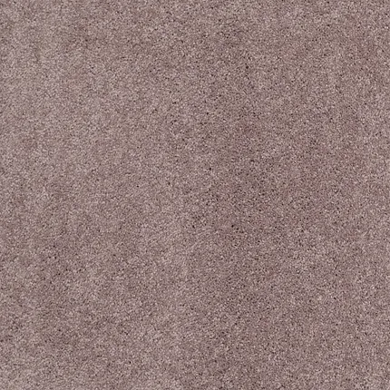 Taupe Carpet - Comfortable and Stylish Flooring for Everyday Living Soft textured carpet in a warm taupe color, ideal for adding comfort and style to any home setting