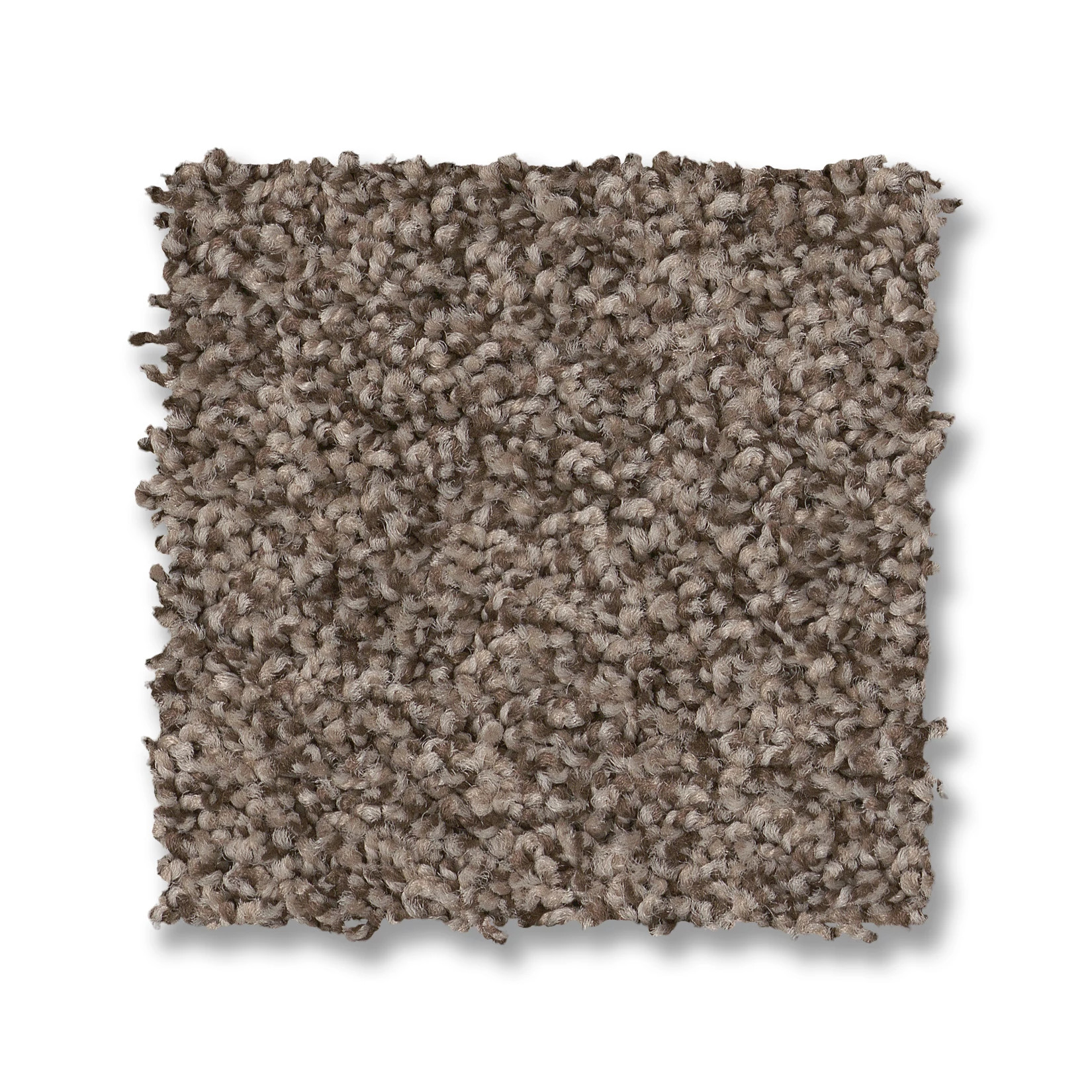 VIA NOVA PALM DESERT SWATCH