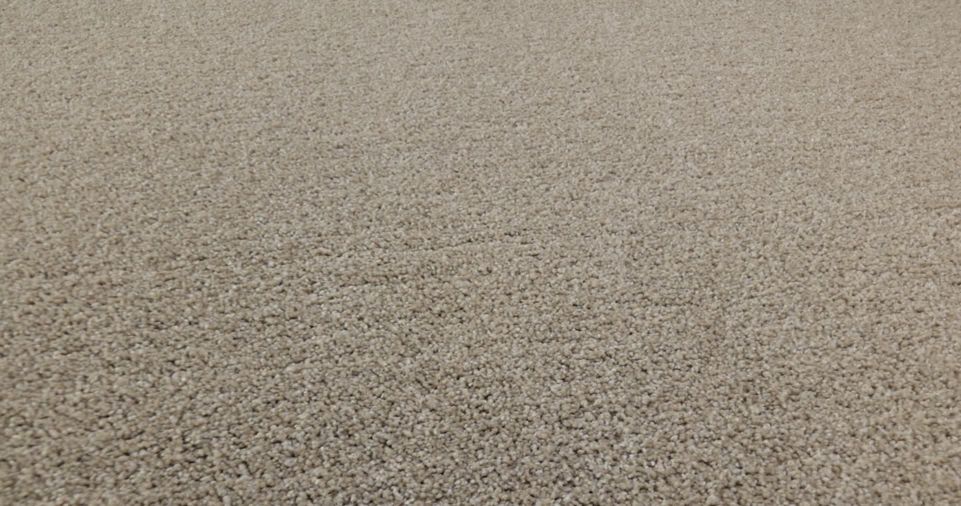 REFINED BEAUTY WARM GLOW 360PROD