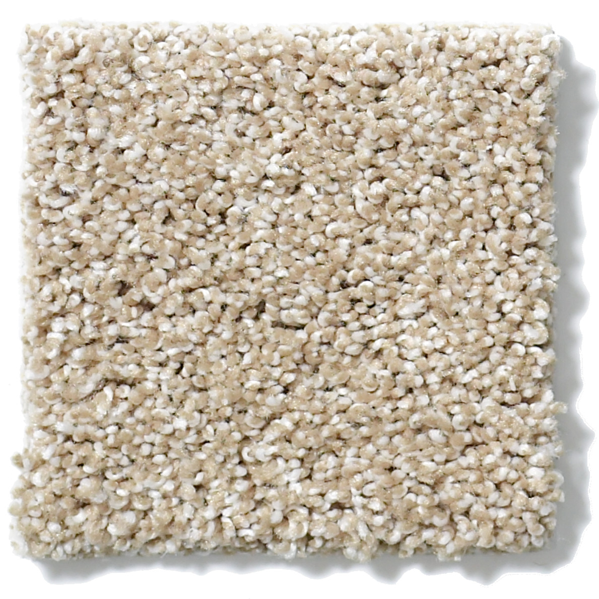 INSPIRING DUNES SWATCH