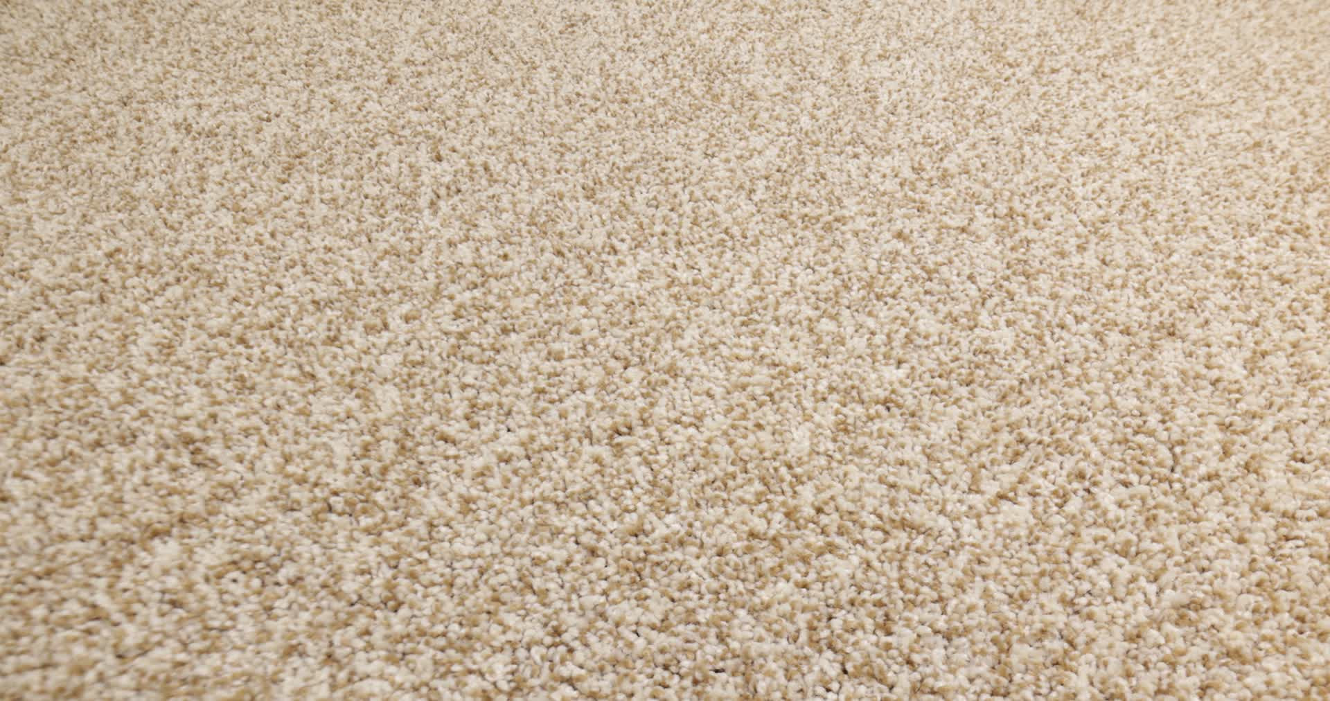 BOSSA NOVA REED 360PROD