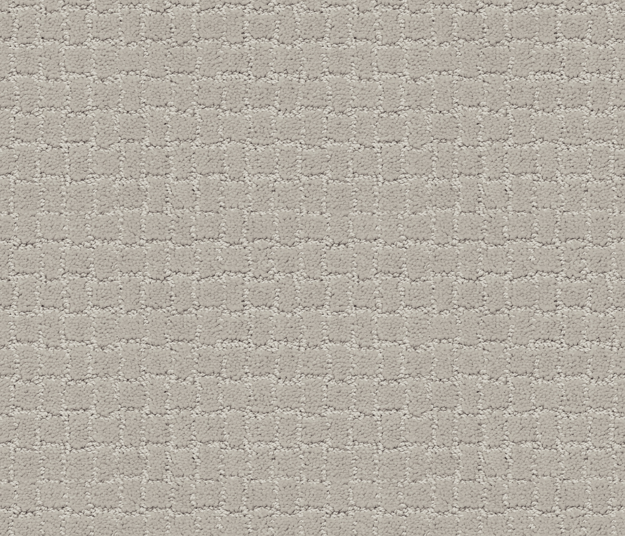 Pawstruck - 100% ANSO® High Performance Nylon in Silver Fox