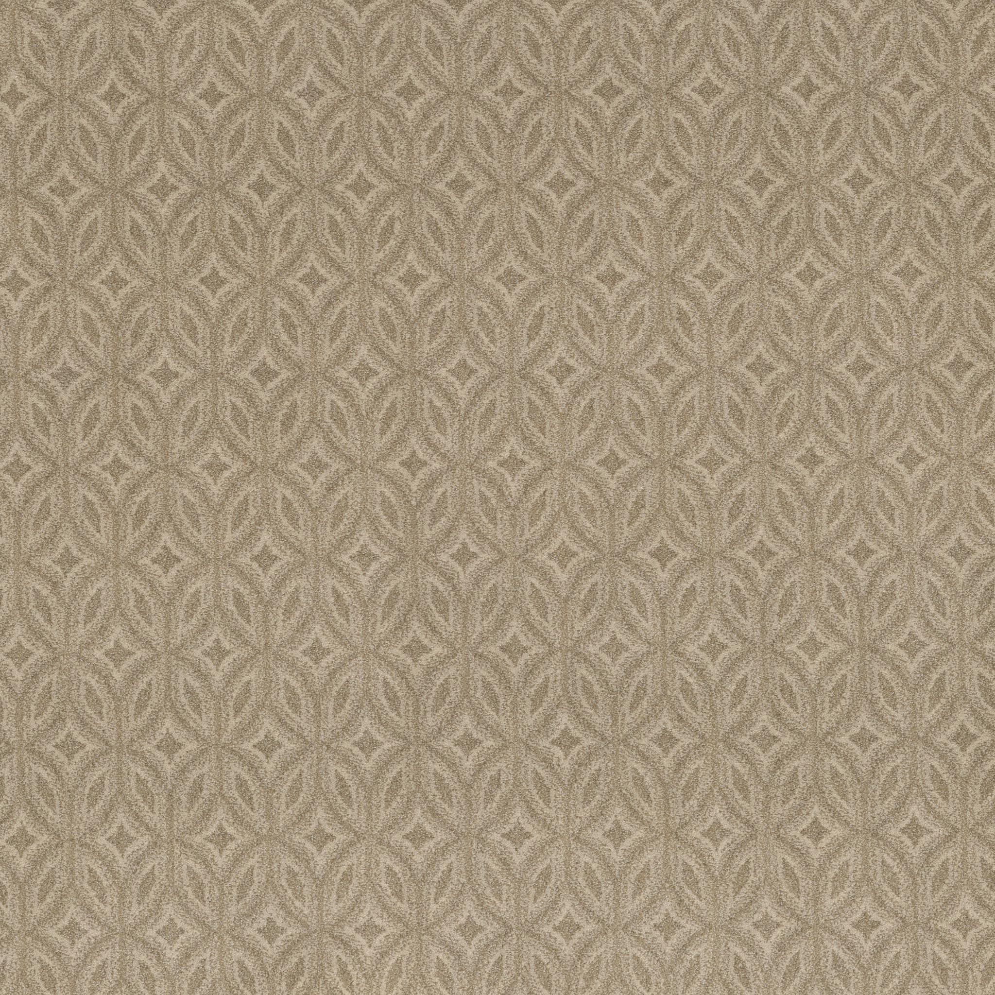 Enlightened - 100% ANSO® High Performance Nylon in Windswept