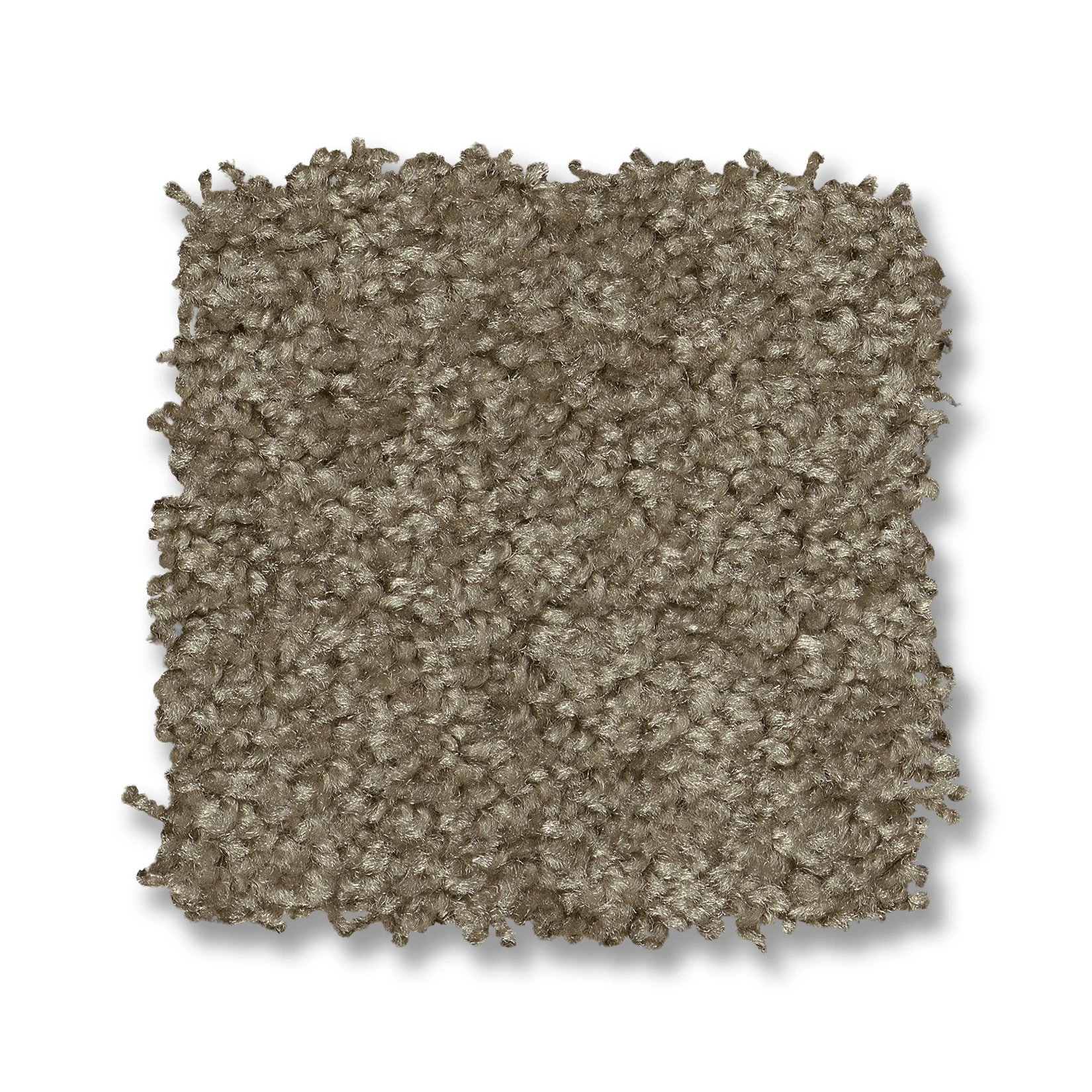 FREE TIME DRIFTWOOD SWATCH