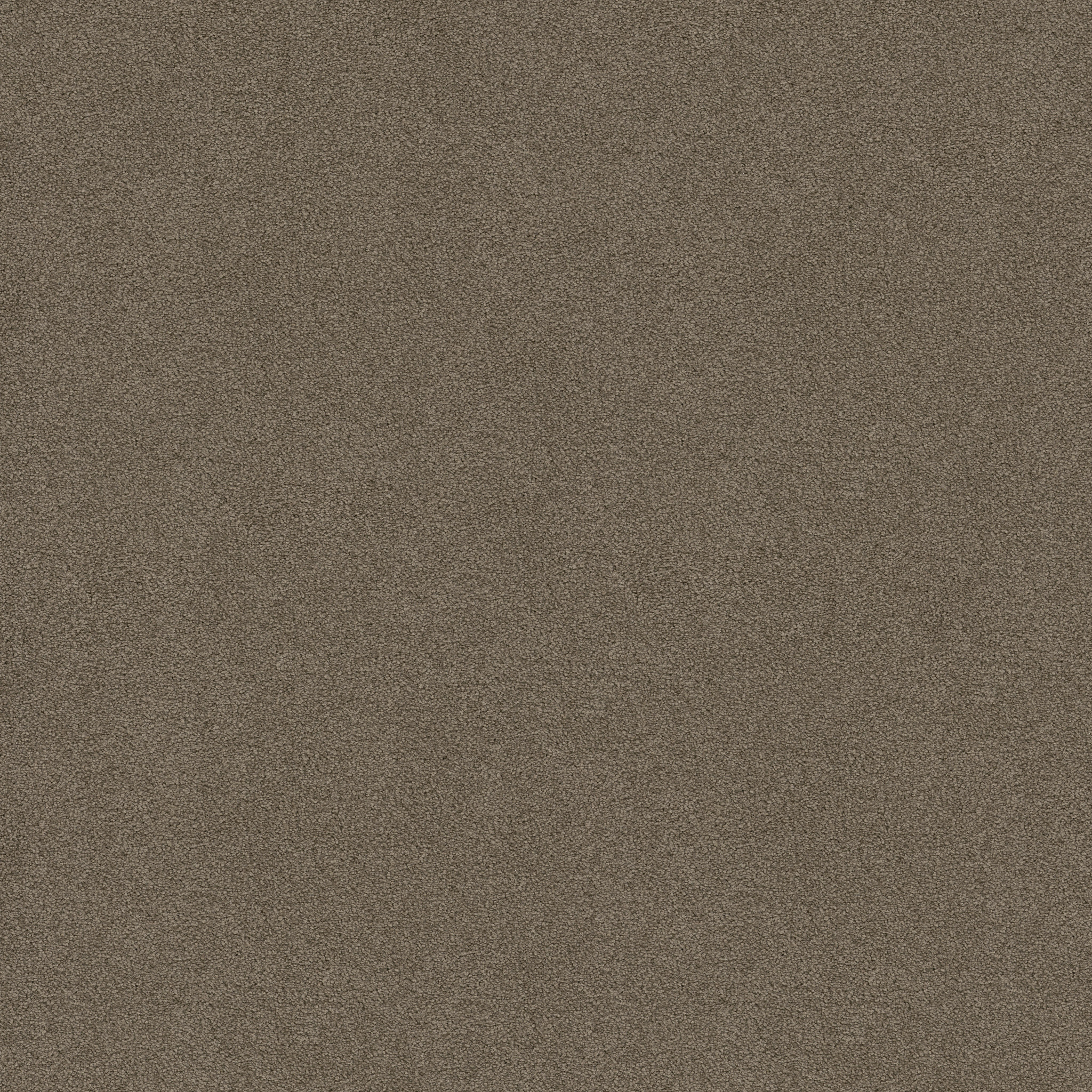 MAJORITY RULES RUSTIC TAUPE MAIN