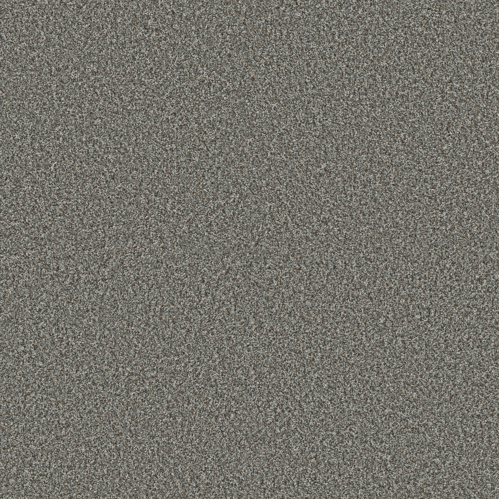 Renewed Energy I PARIS SKY MAIN