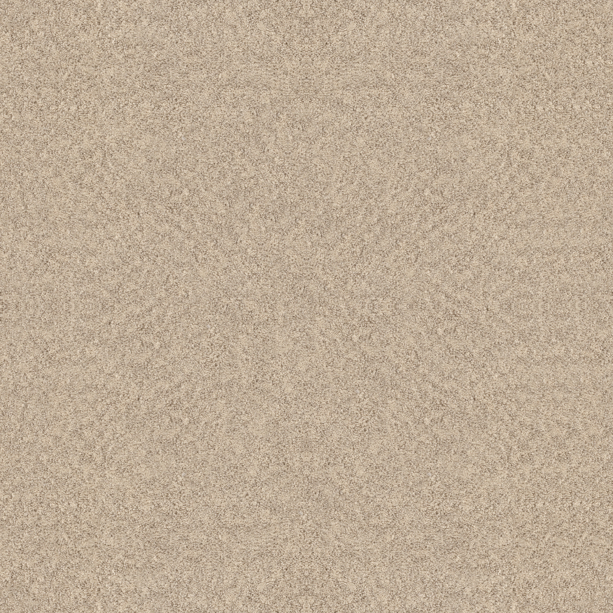 ALLURING CANVAS SUN KISSED MAIN