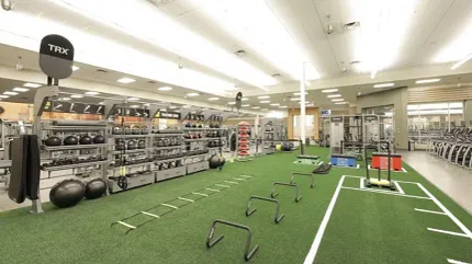 Modern gym setup with durable turf flooring Indoor gym with artificial turf flooring and exercise equipment