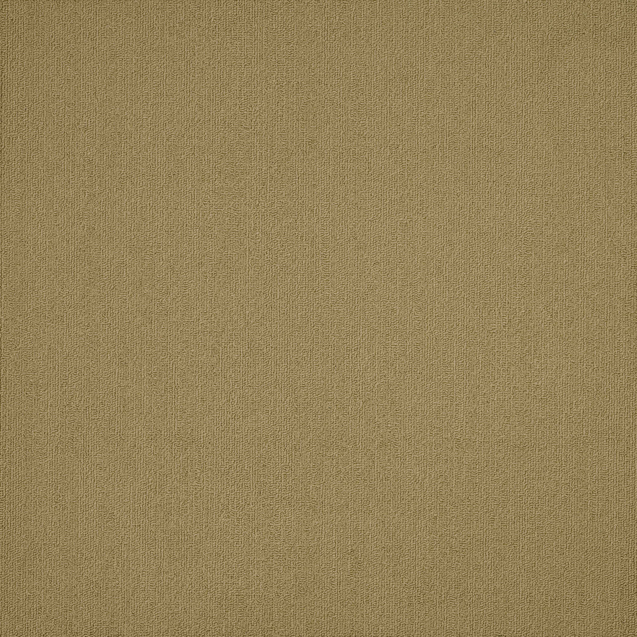 COLOR-ACCENTS-54462-ALOE-62546-main-image