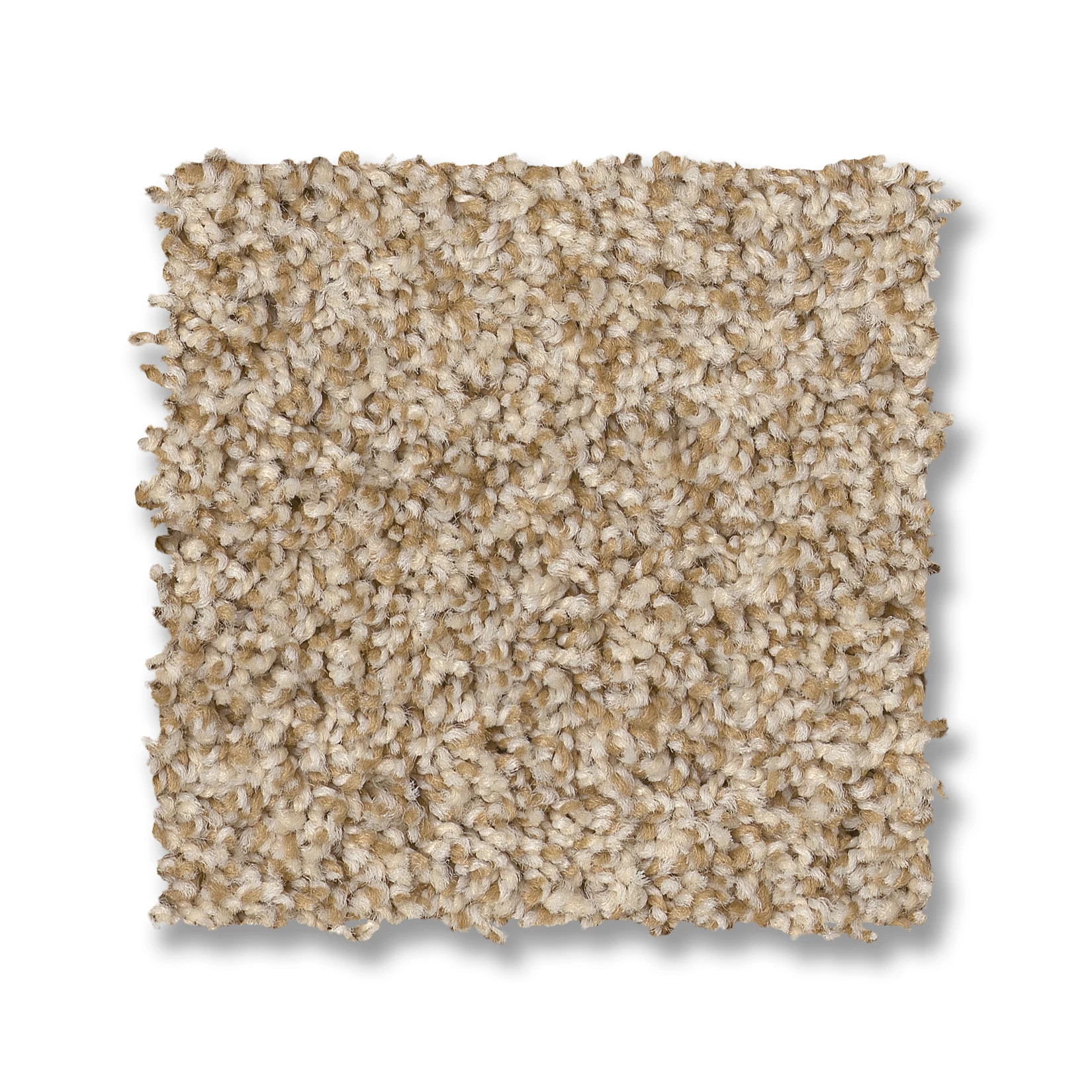 VIA NOVA REED SWATCH