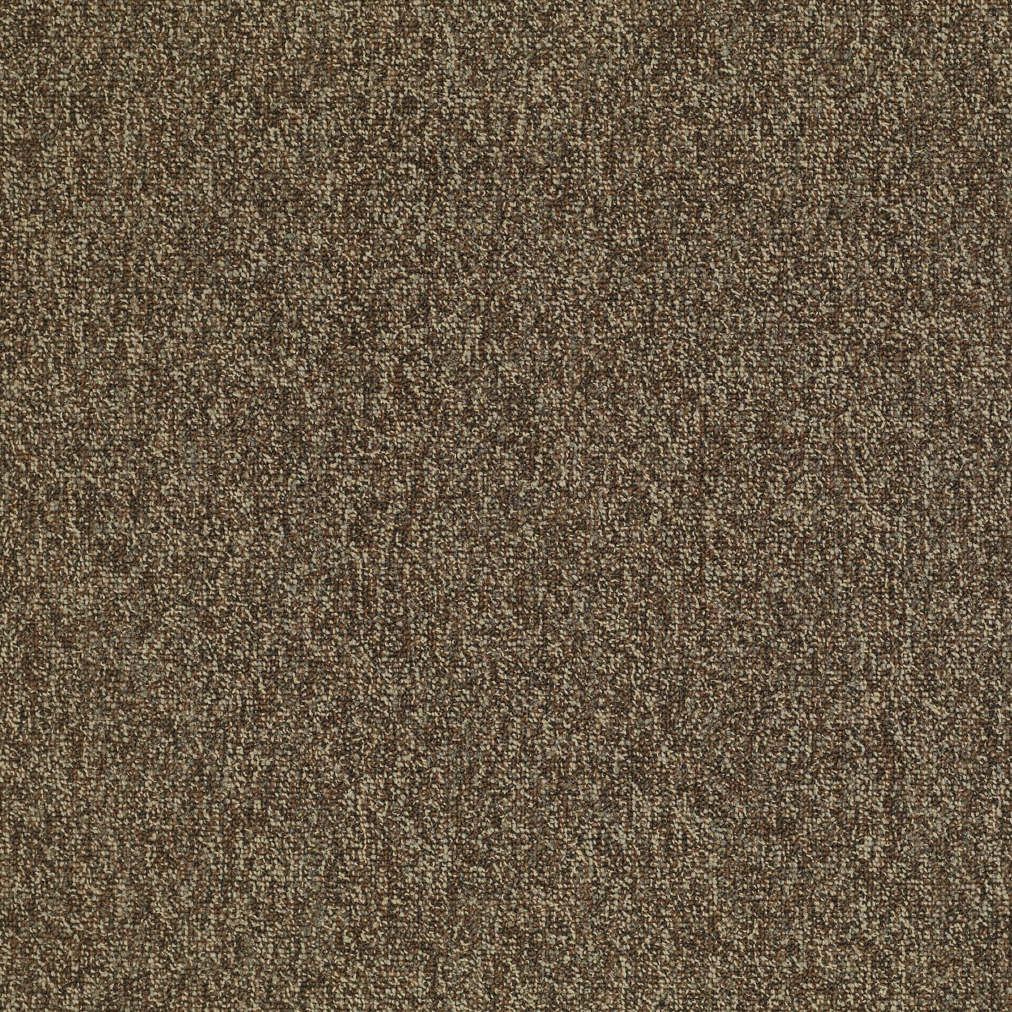 MULTIPLICITY-24X24-54594-EXUBERANCE-00705-main-image