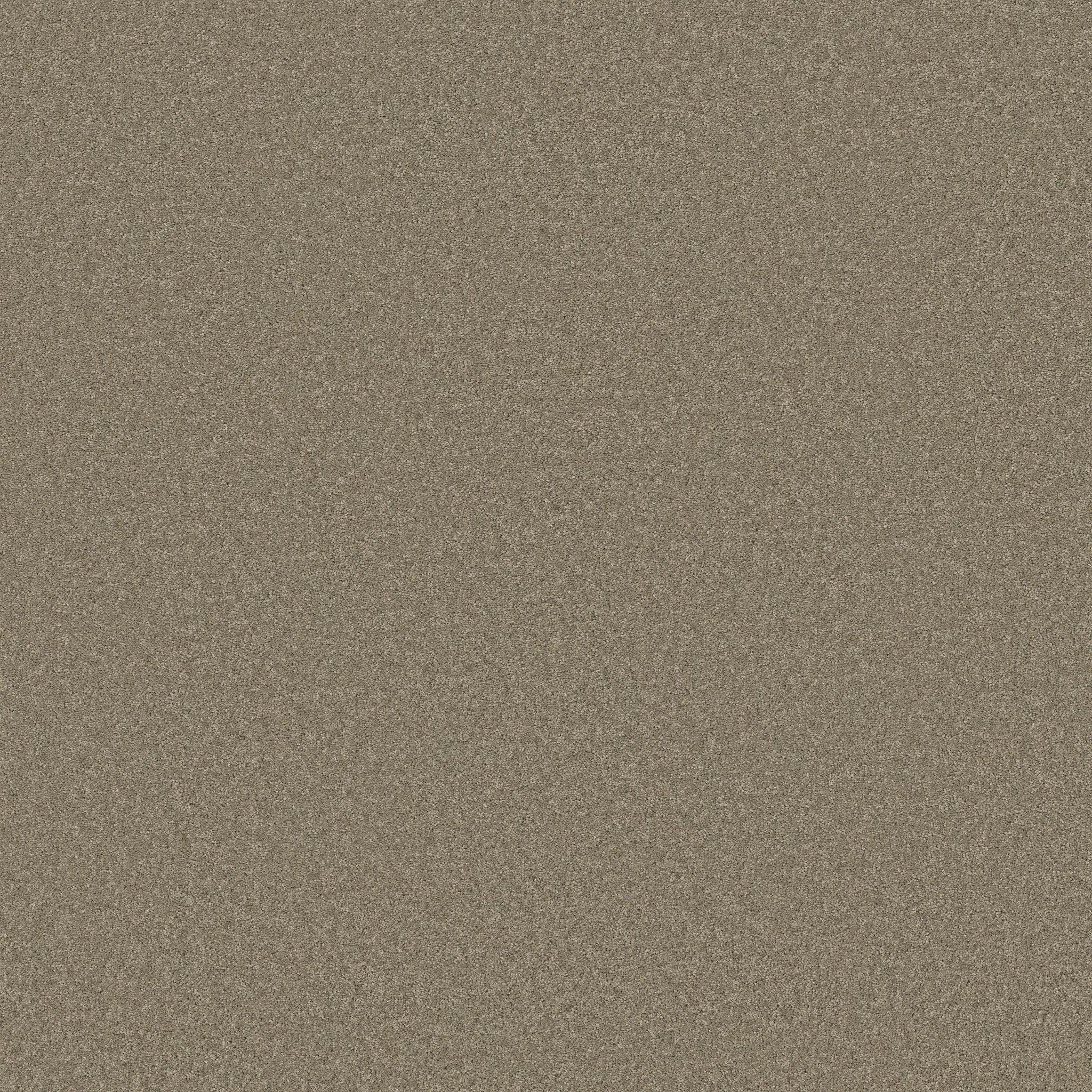 ENDURING CHARM SLATE MAIN