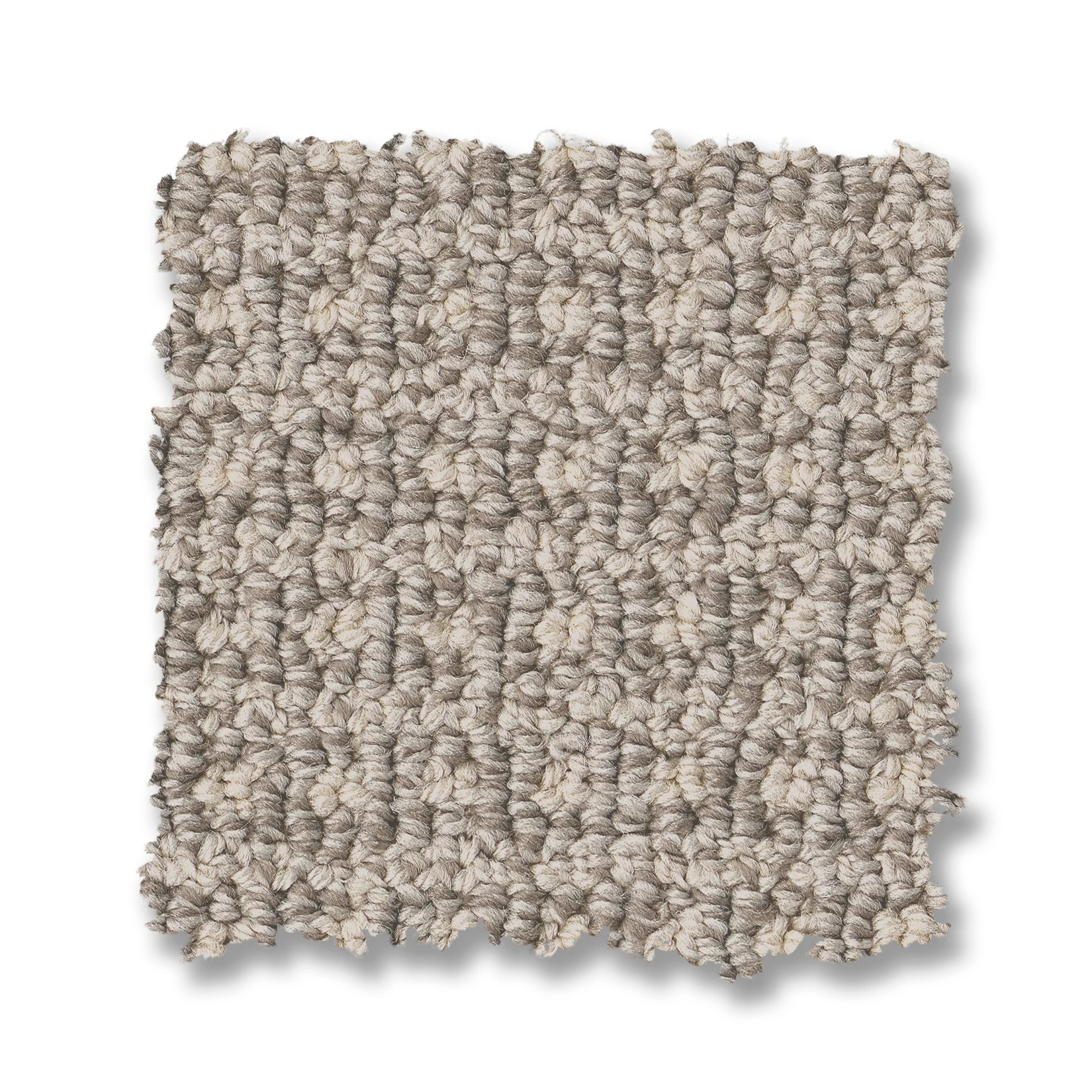 FETCH OYSTER SHELL SWATCH