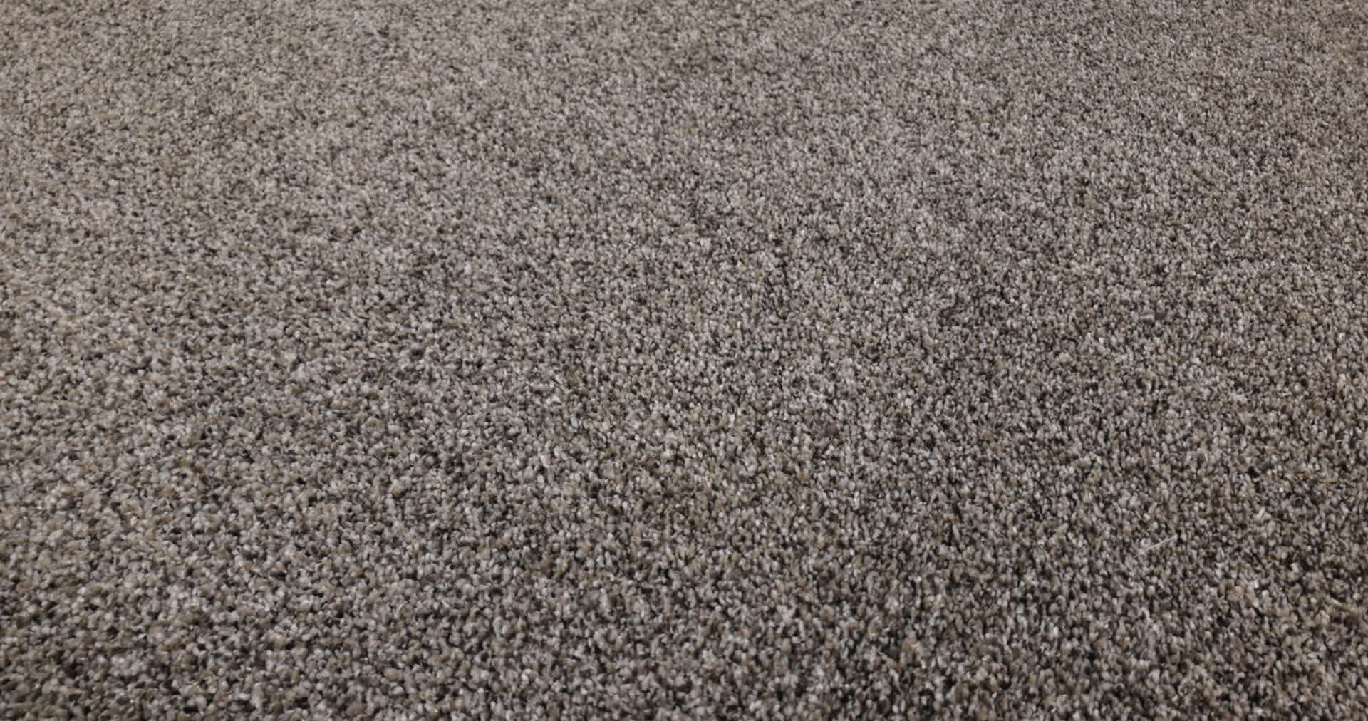 ELEVATED II FLINT 360PROD