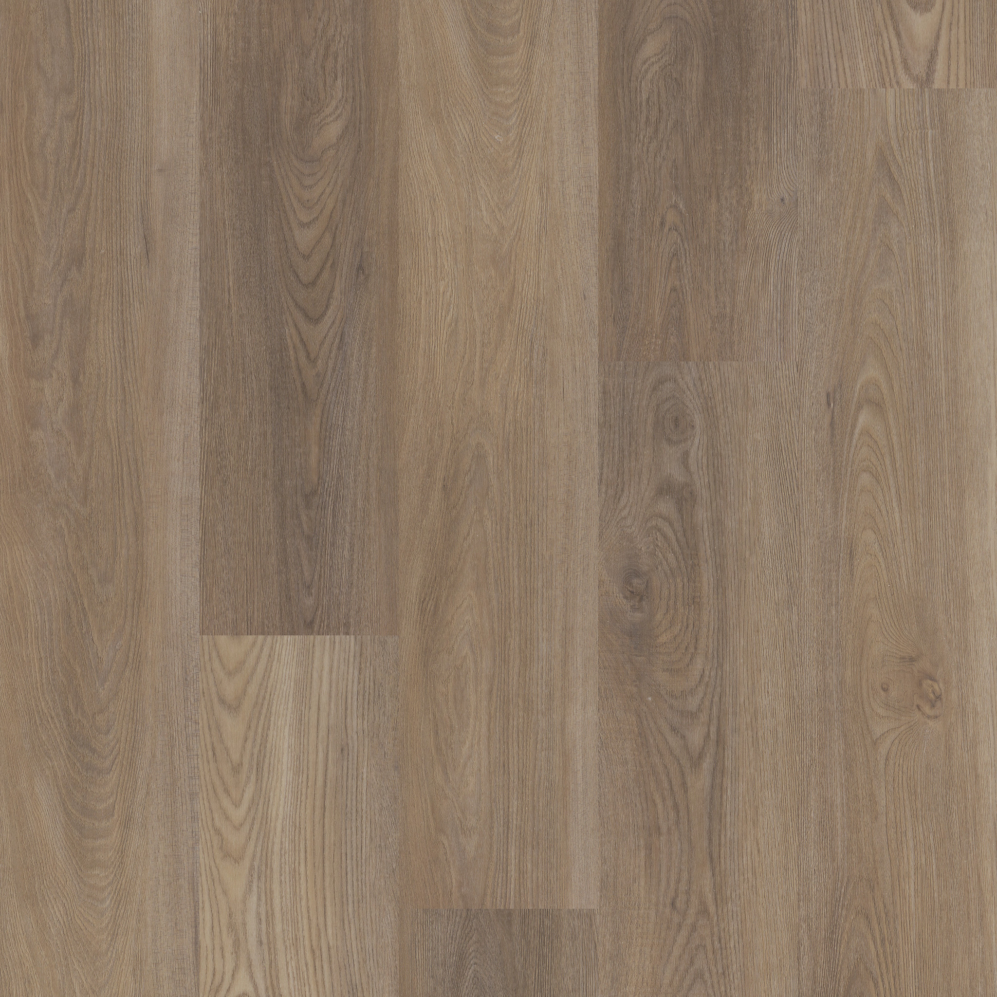 DISTINCTION PLUS ASH OAK MAIN