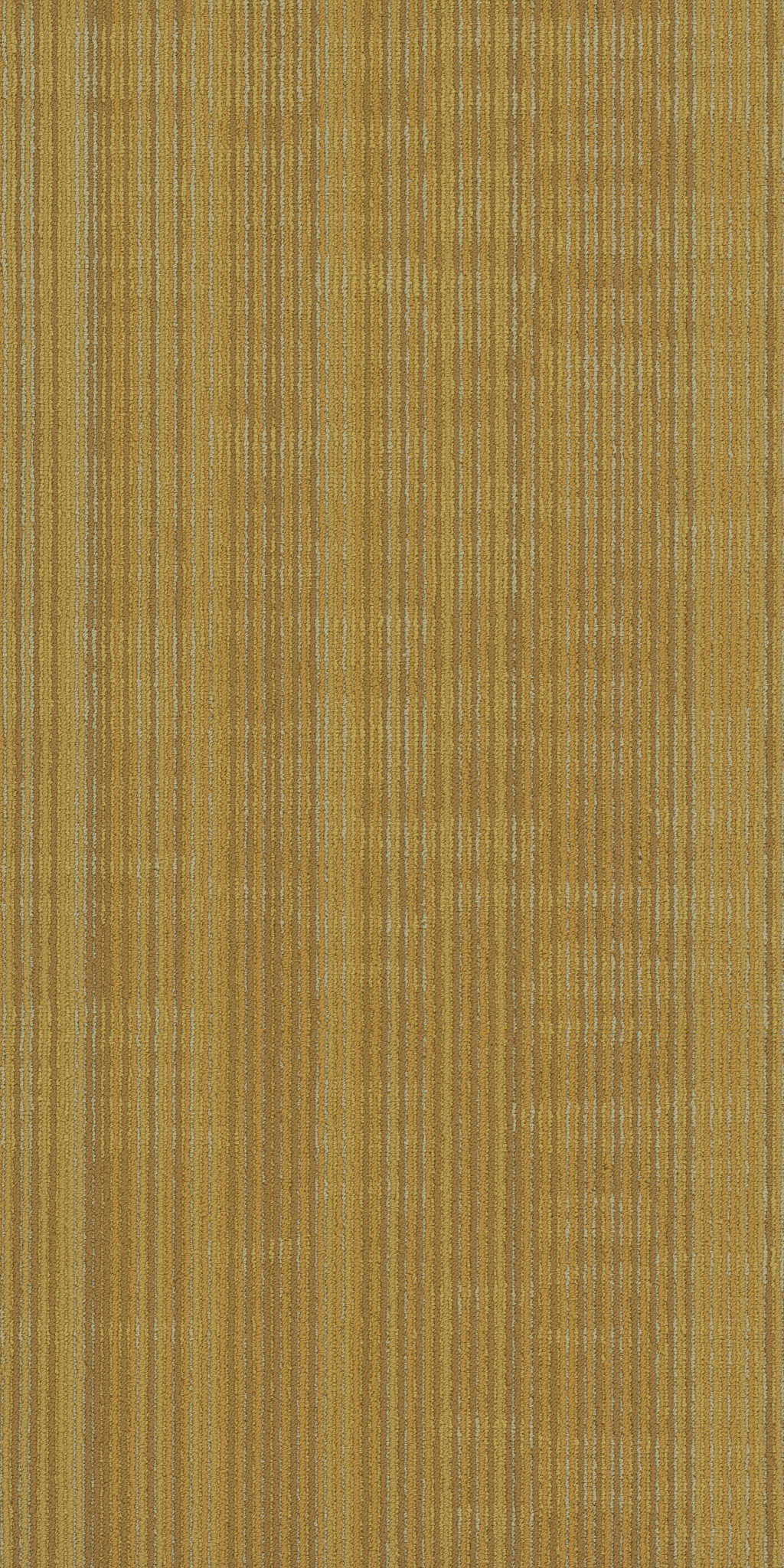 ENCODE-54926-VECTOR-00200-main-image