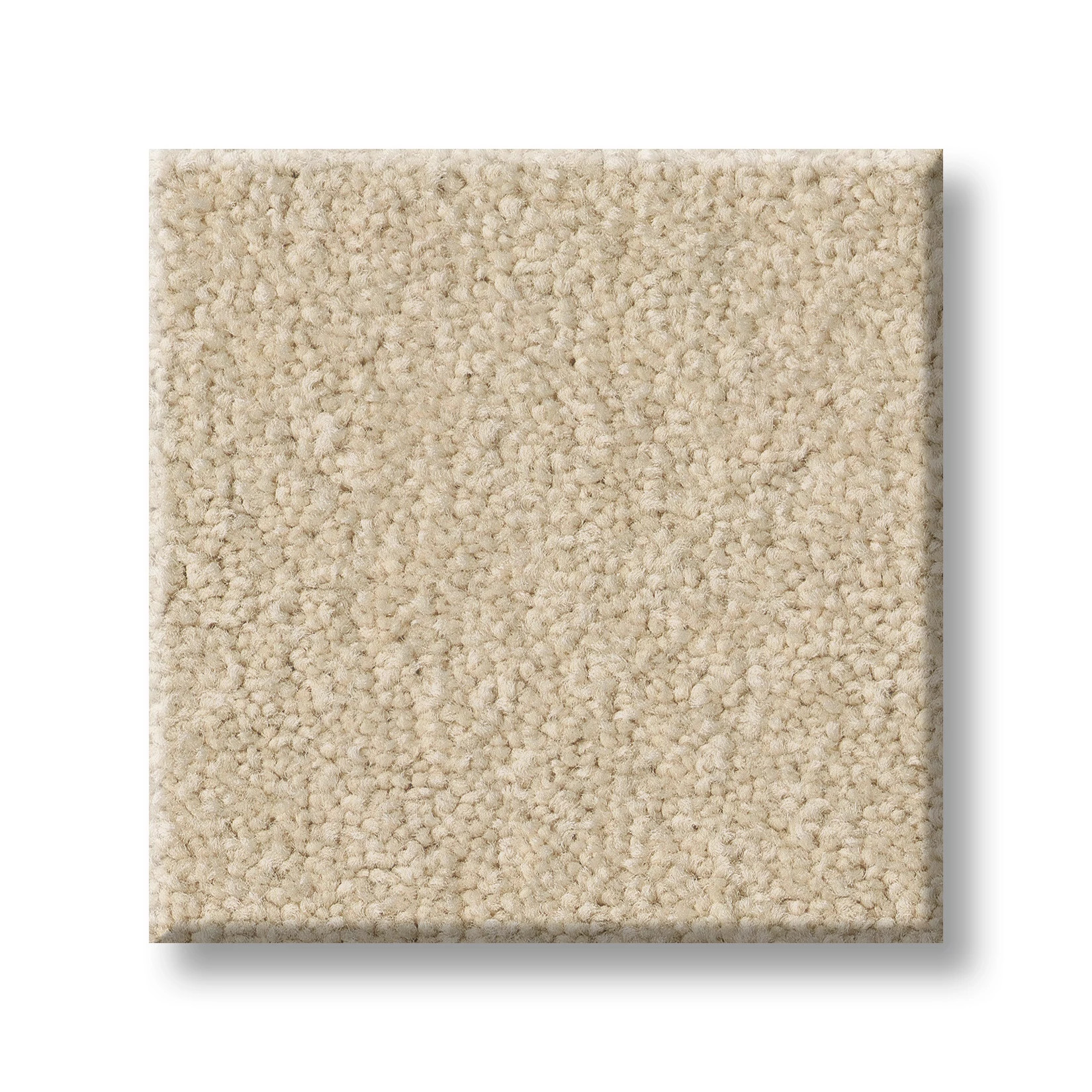 TIMELESS APPEAL III 12' MUSHROOM SWATCH