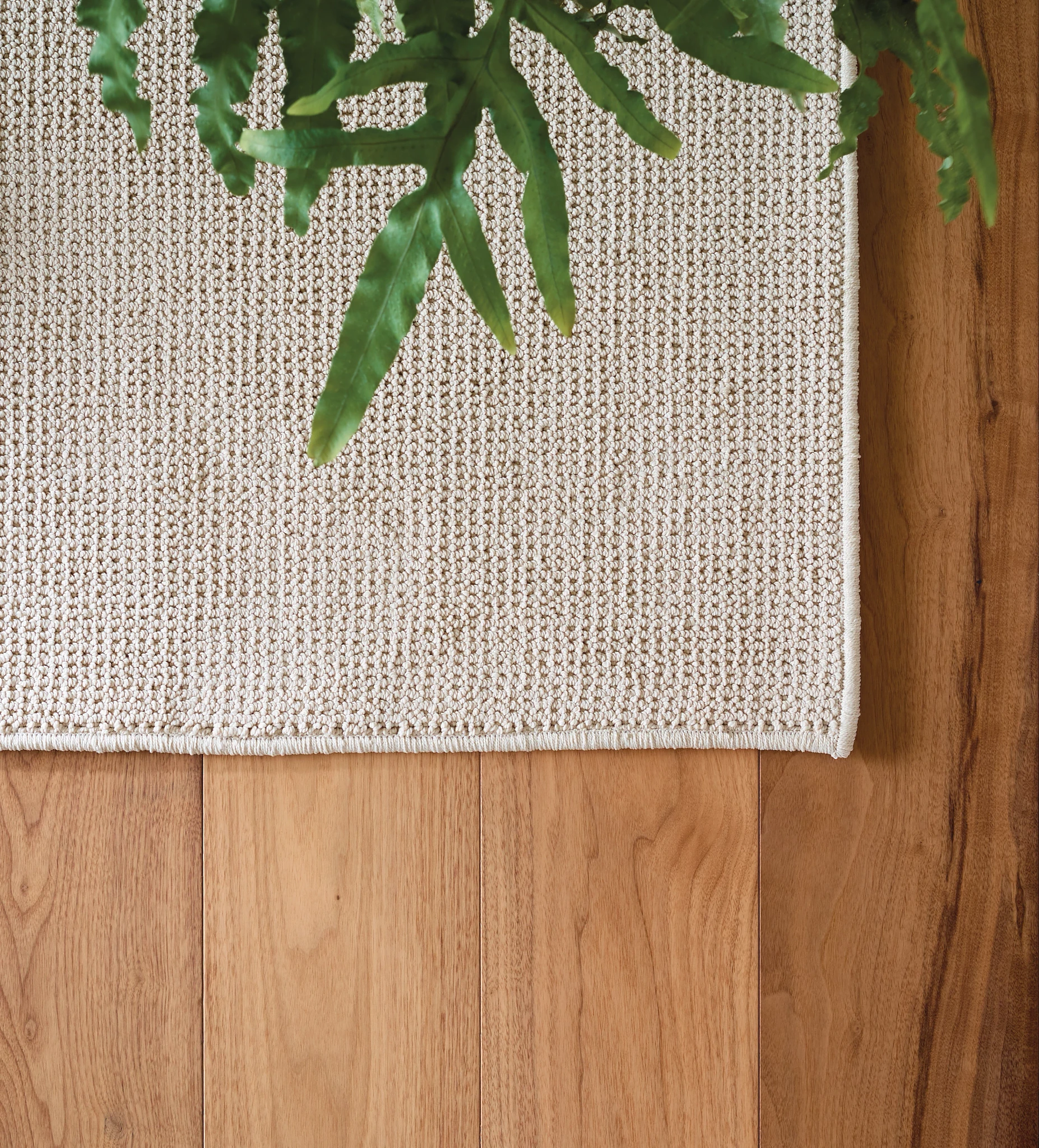 top down view of a loop rug on a hardwood floor with plant leaves in the picture