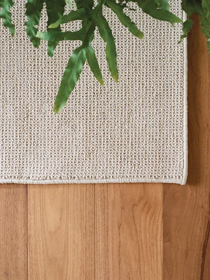 top down view of hardwood flooring and a rug top down view of a loop rug on a hardwood floor with plant leaves in the picture